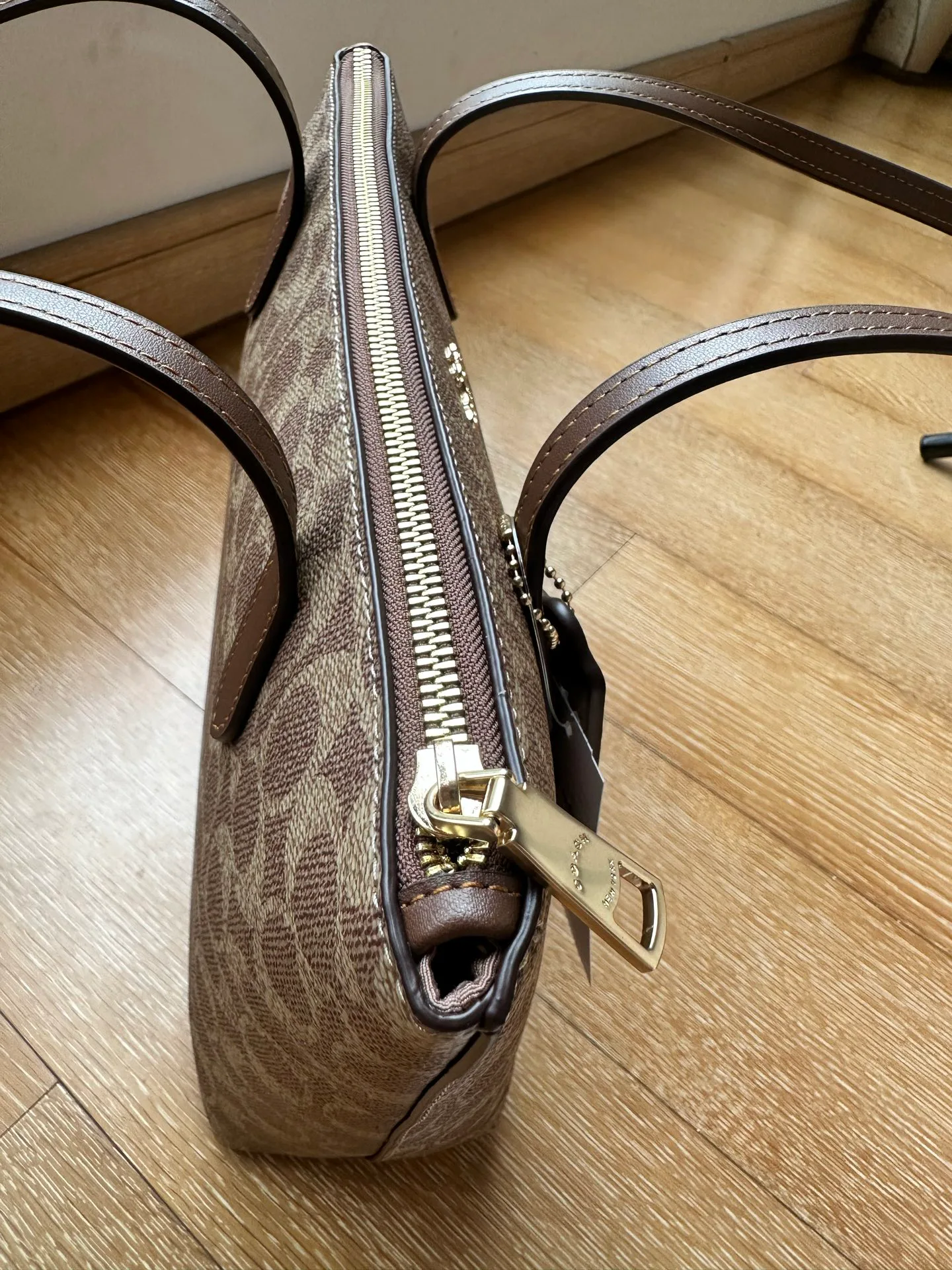 Women's Classic Handbags COACH 17961008