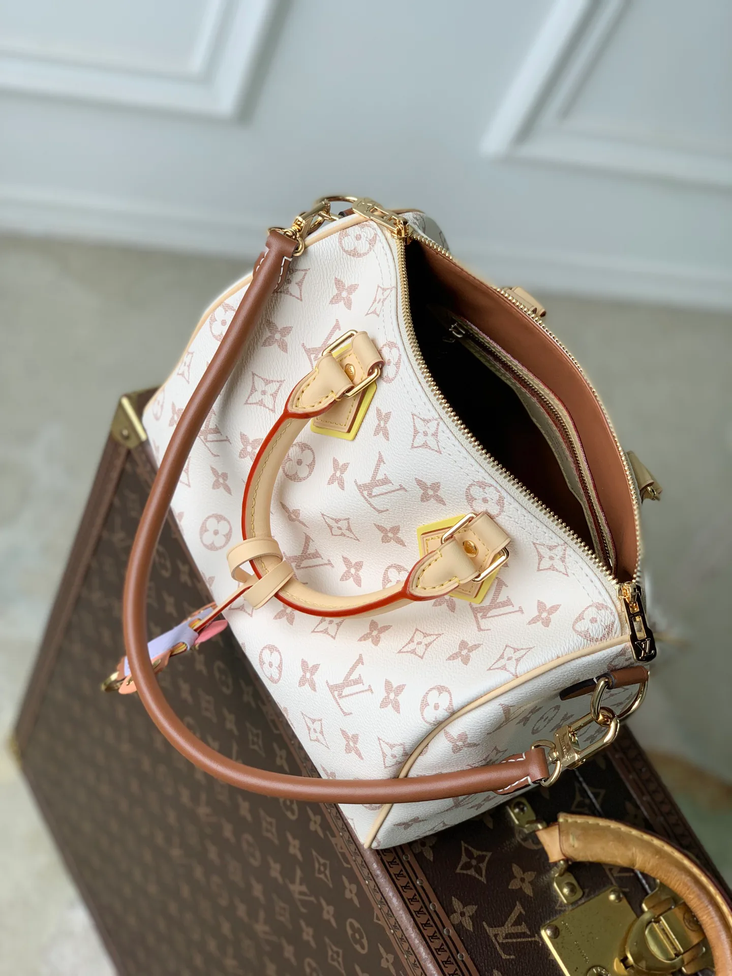 Women's Classic Handbags LOUIS VUITTON 18412607