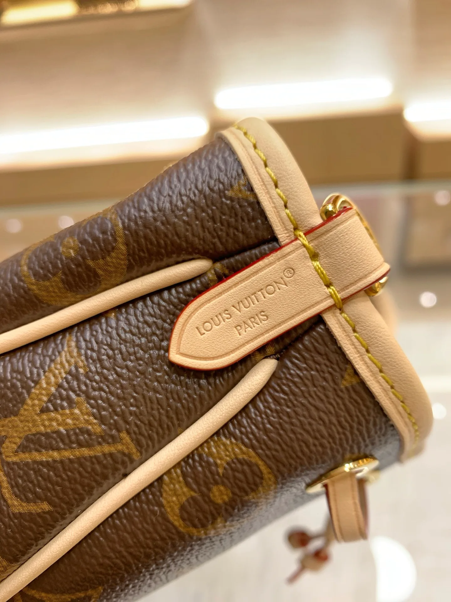 Women's Classic Handbags LOUIS VUITTON 17303176