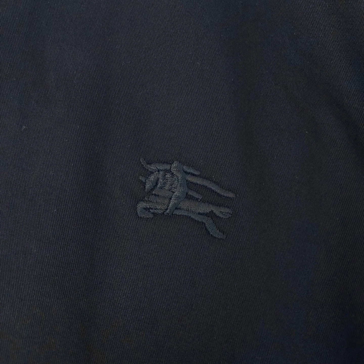 Men's Jackets And Down Jackets BURBERRY 17737696