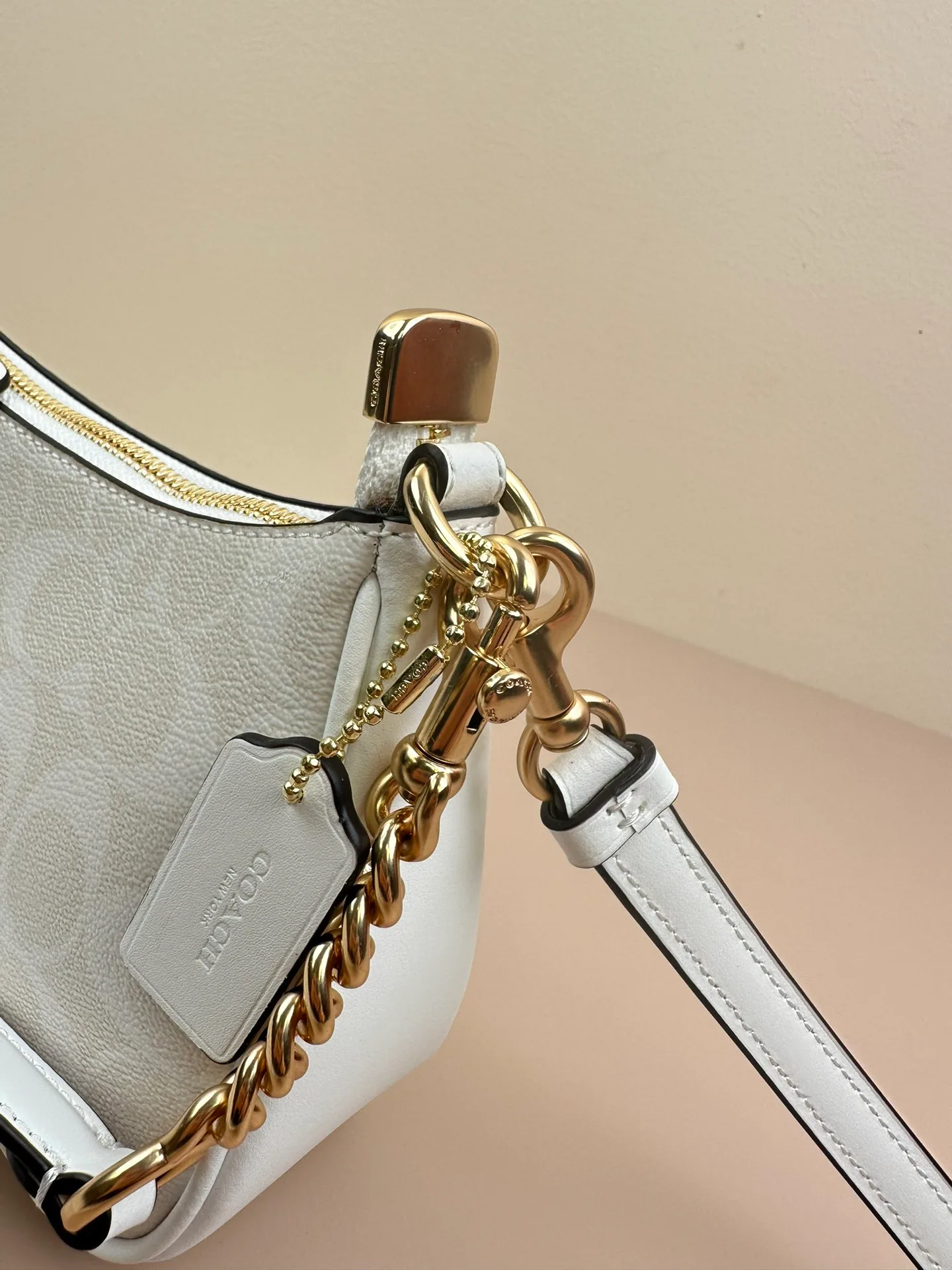 Women's Classic Handbags COACH 17961032