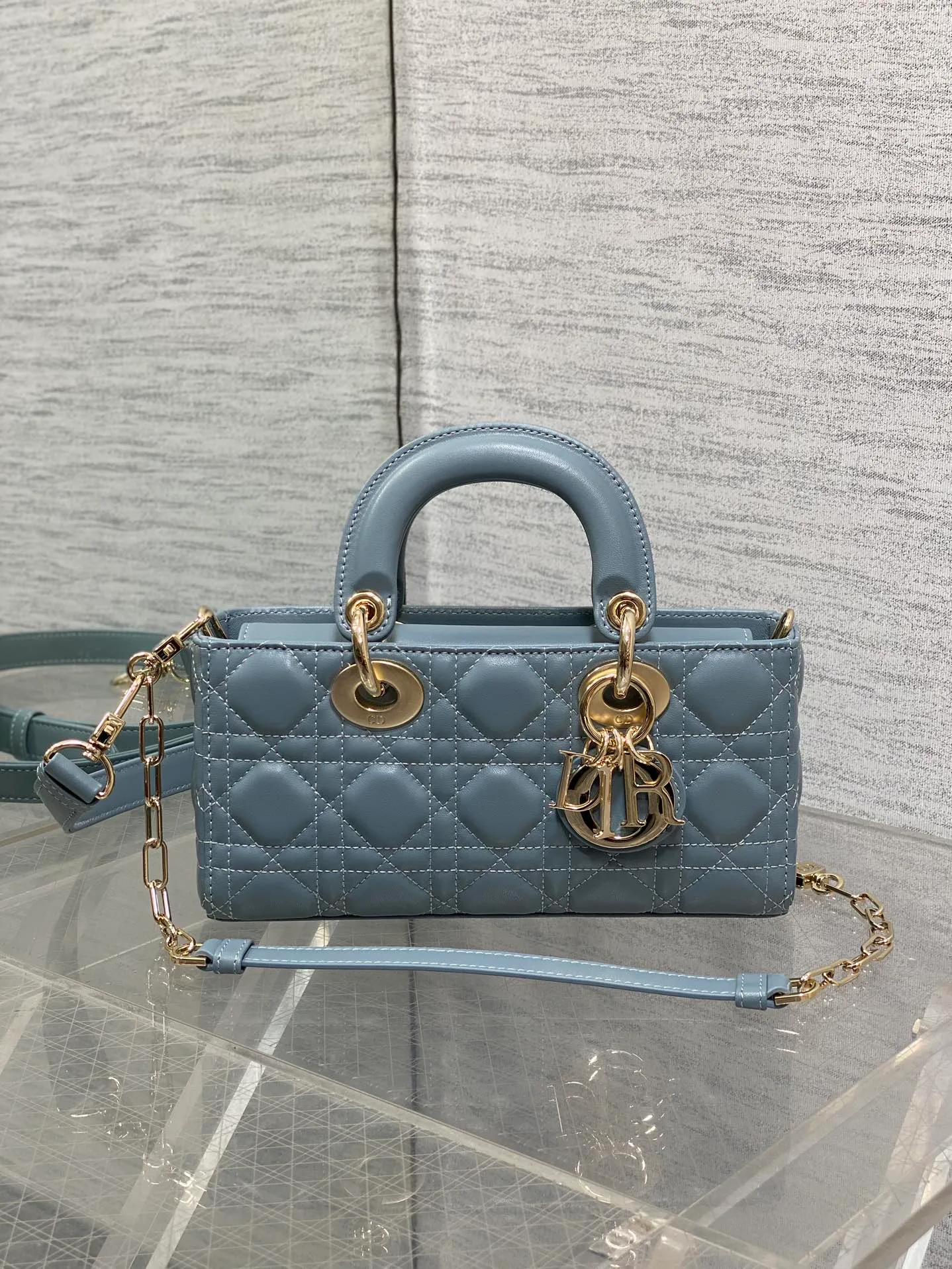 Women's Classic Handbags CHRISTIAN DIOR 17770425