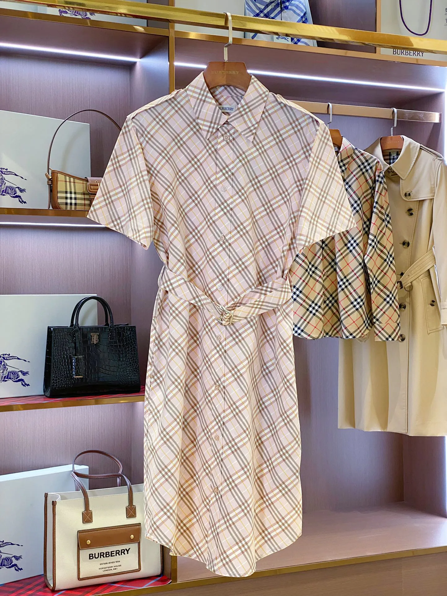 Women's Dresses BURBERRY 17361076
