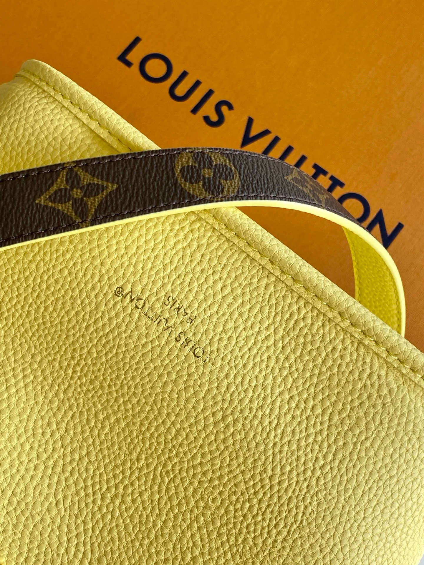 Women's Classic Handbags LOUIS VUITTON 17483326