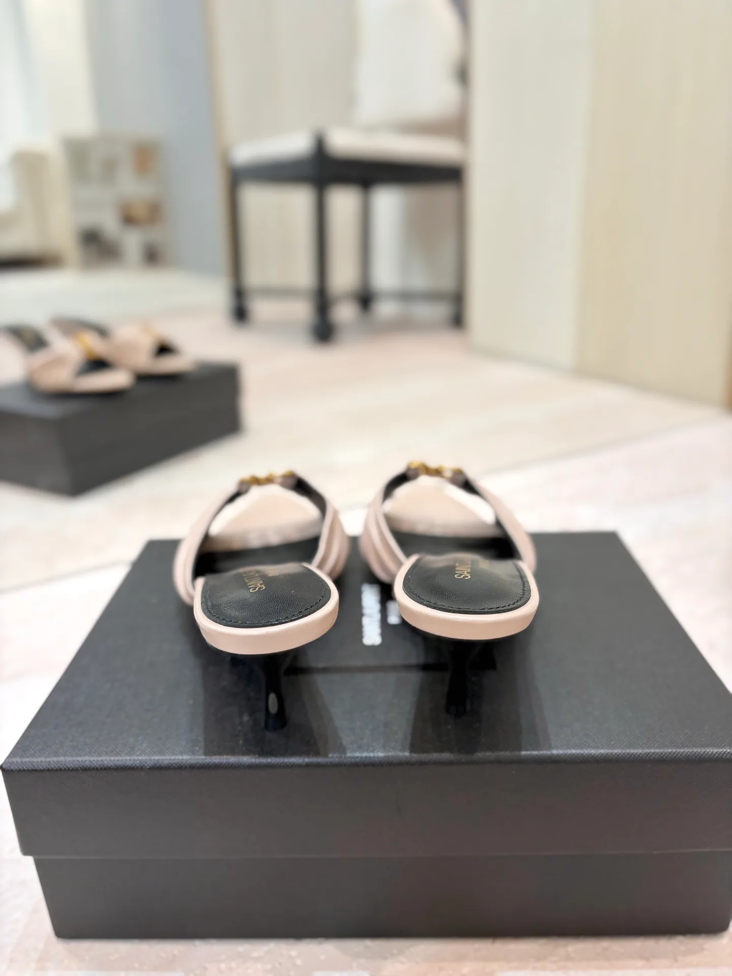 Women's Mules And Clogs SAINT LAURENT 17476035