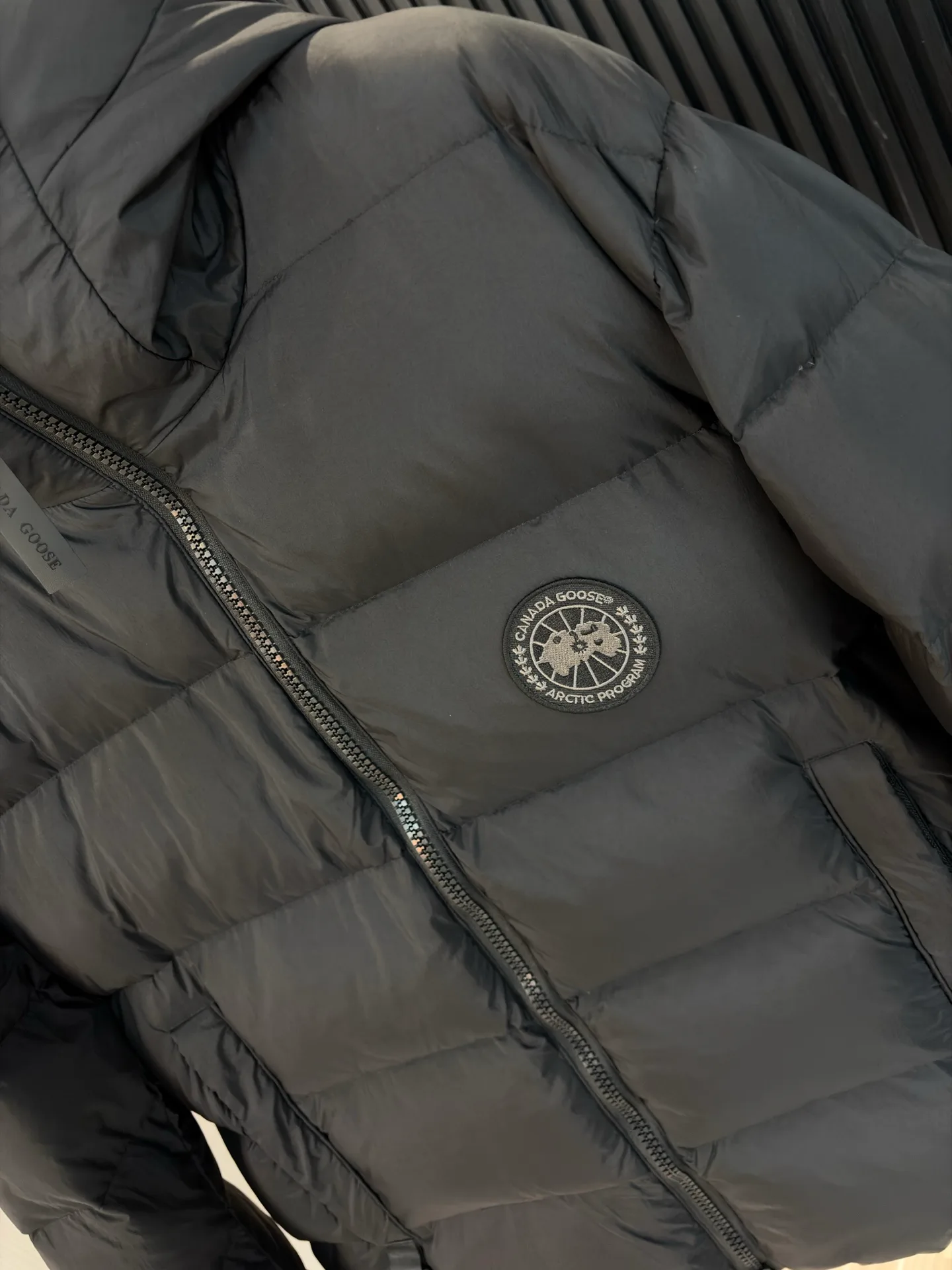 Women's Jackets And Down Jackets CANADA GOOSE 18391748