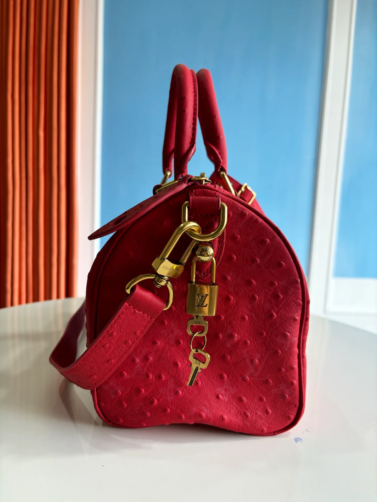 Women's Classic Handbags LOUIS VUITTON 17843666