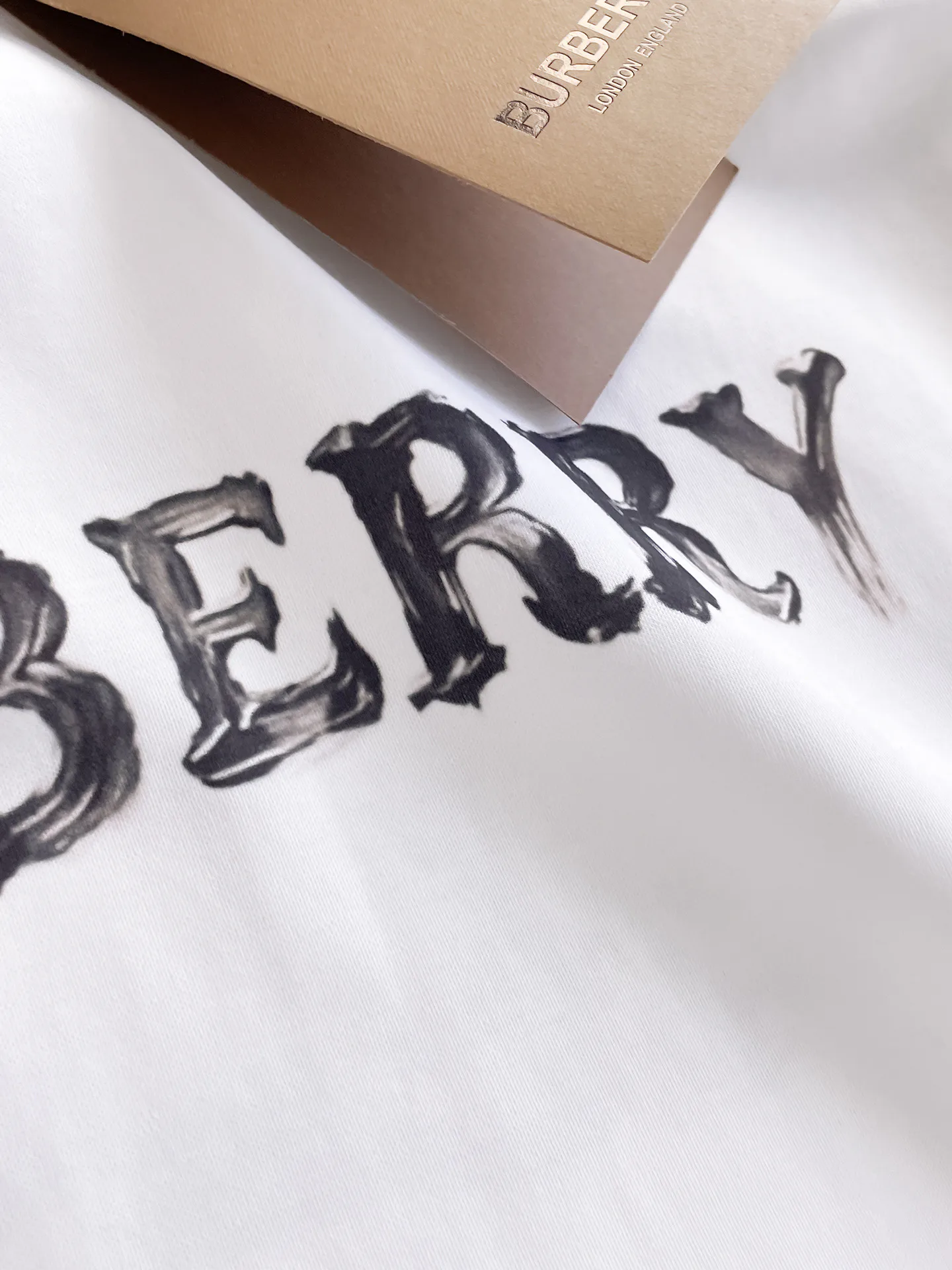Men's T-Shirts BURBERRY 17579718