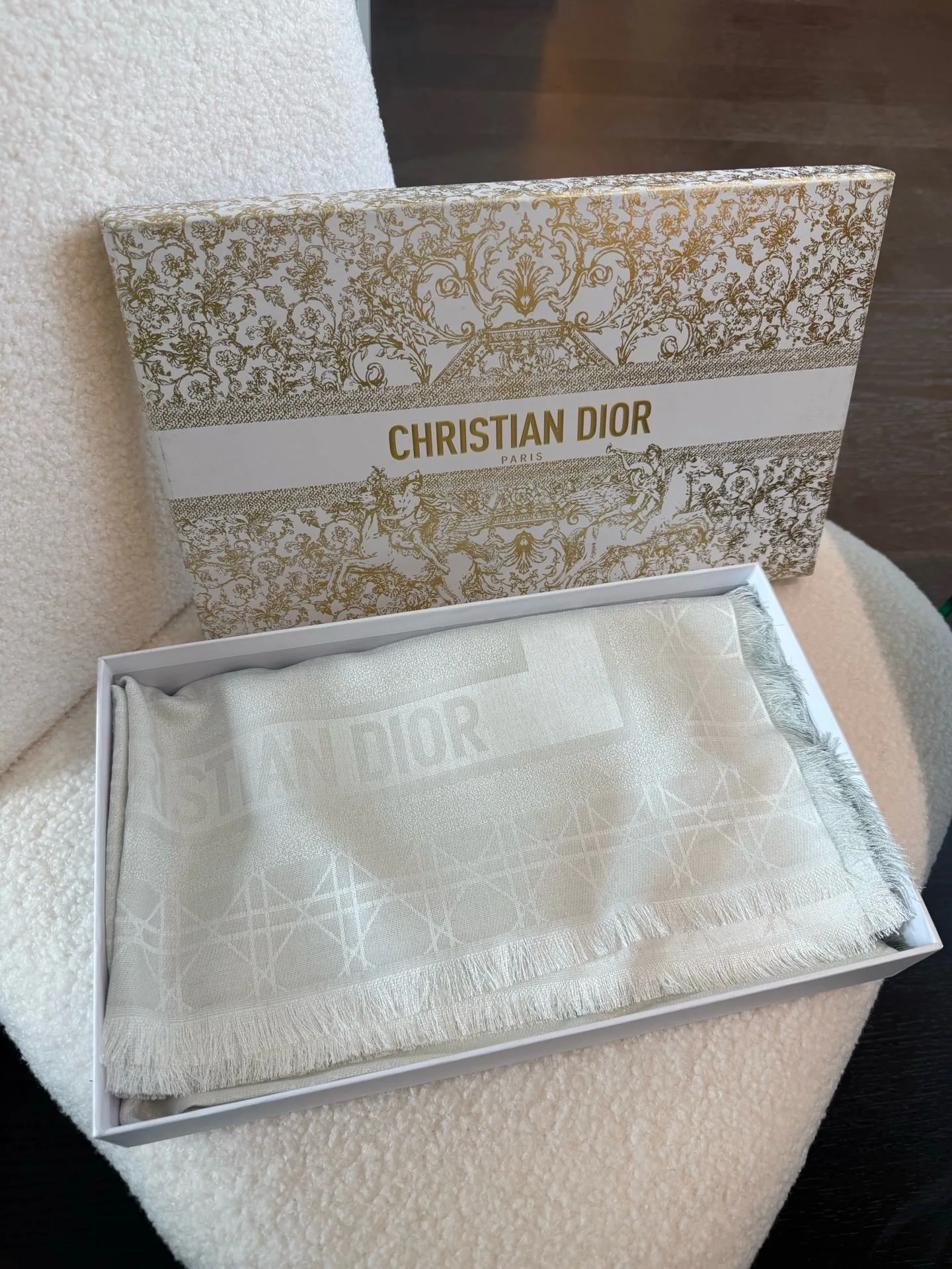 Scarves CHRISTIAN DIOR 17495676