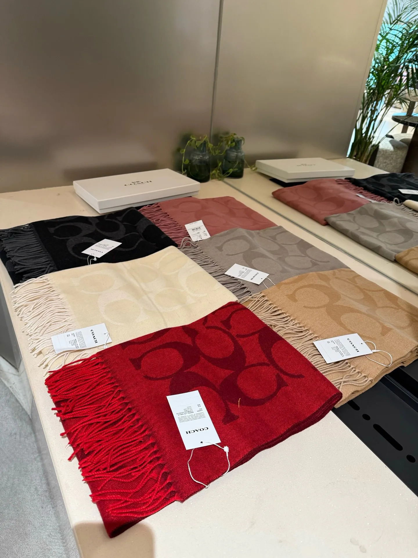 Scarves COACH 17926364