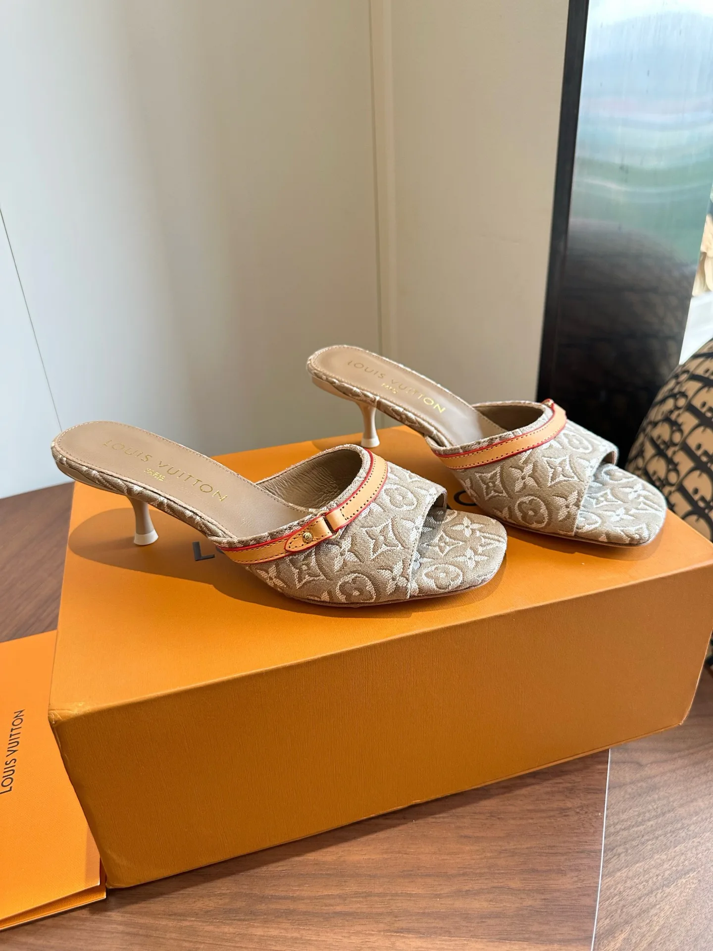 Women's Mules And Clogs LOUIS VUITTON 17580805