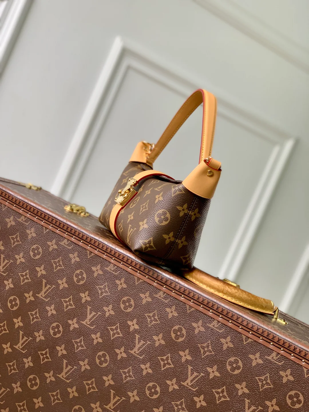 Women's Classic Handbags LOUIS VUITTON 18412578