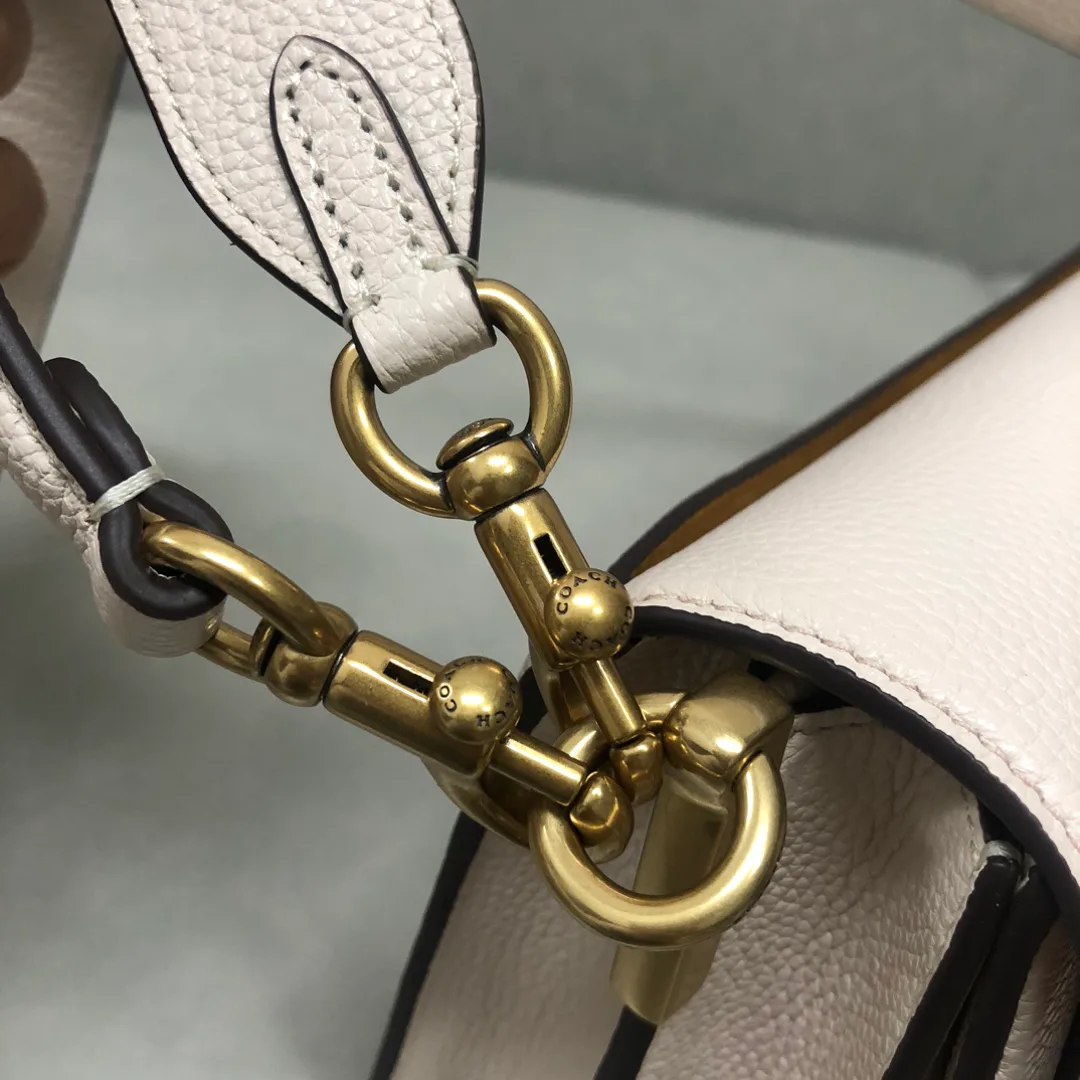 Women's Classic Handbags COACH 17961088
