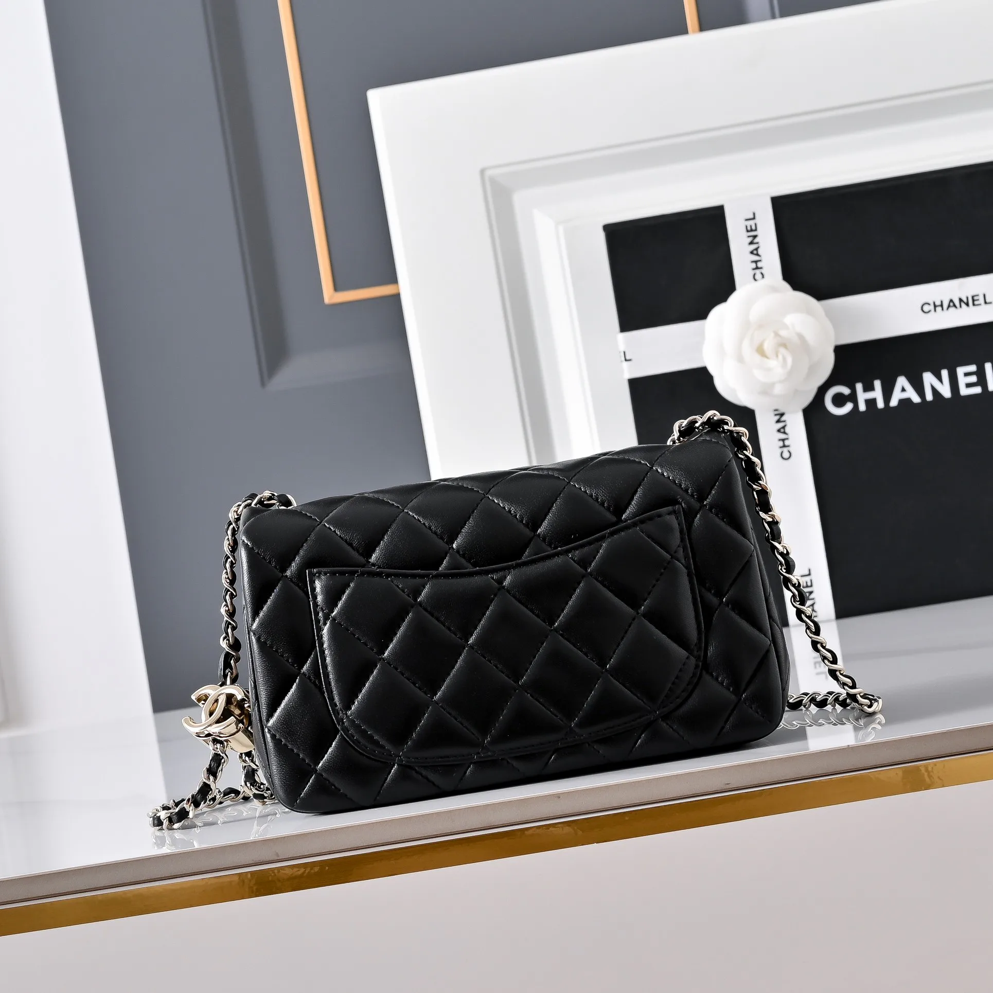 Women's Classic Handbags CHANEL 18148079