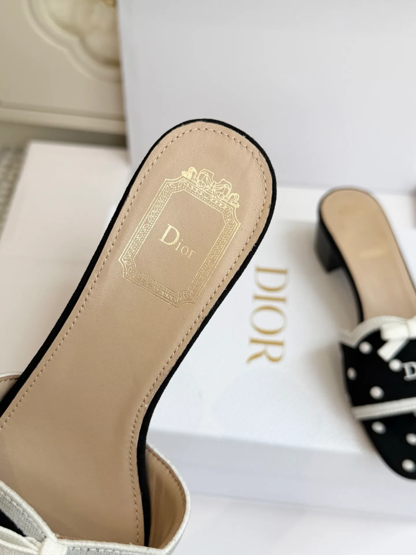 Women's Mules And Clogs CHRISTIAN DIOR 18261116