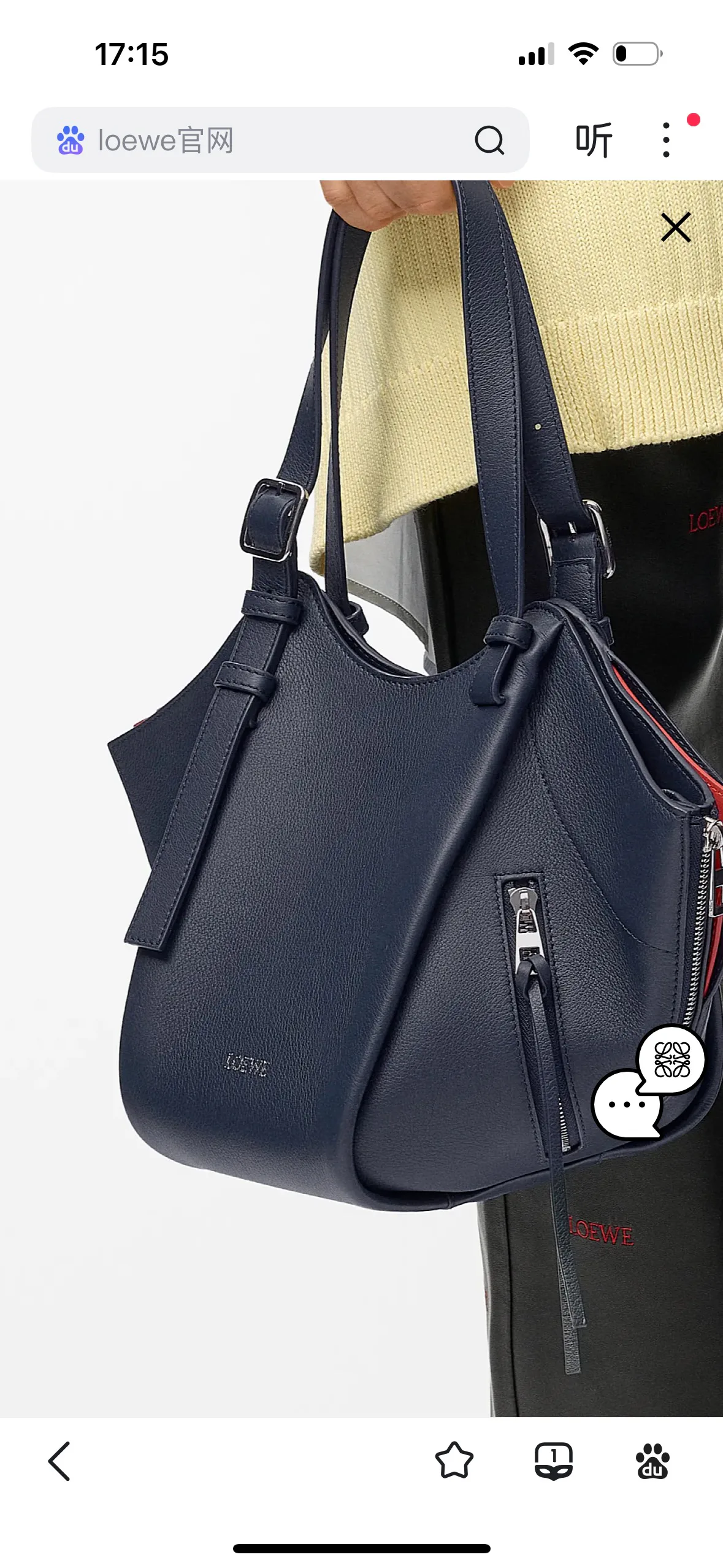 Women's Classic Handbags LOEWE 18231885