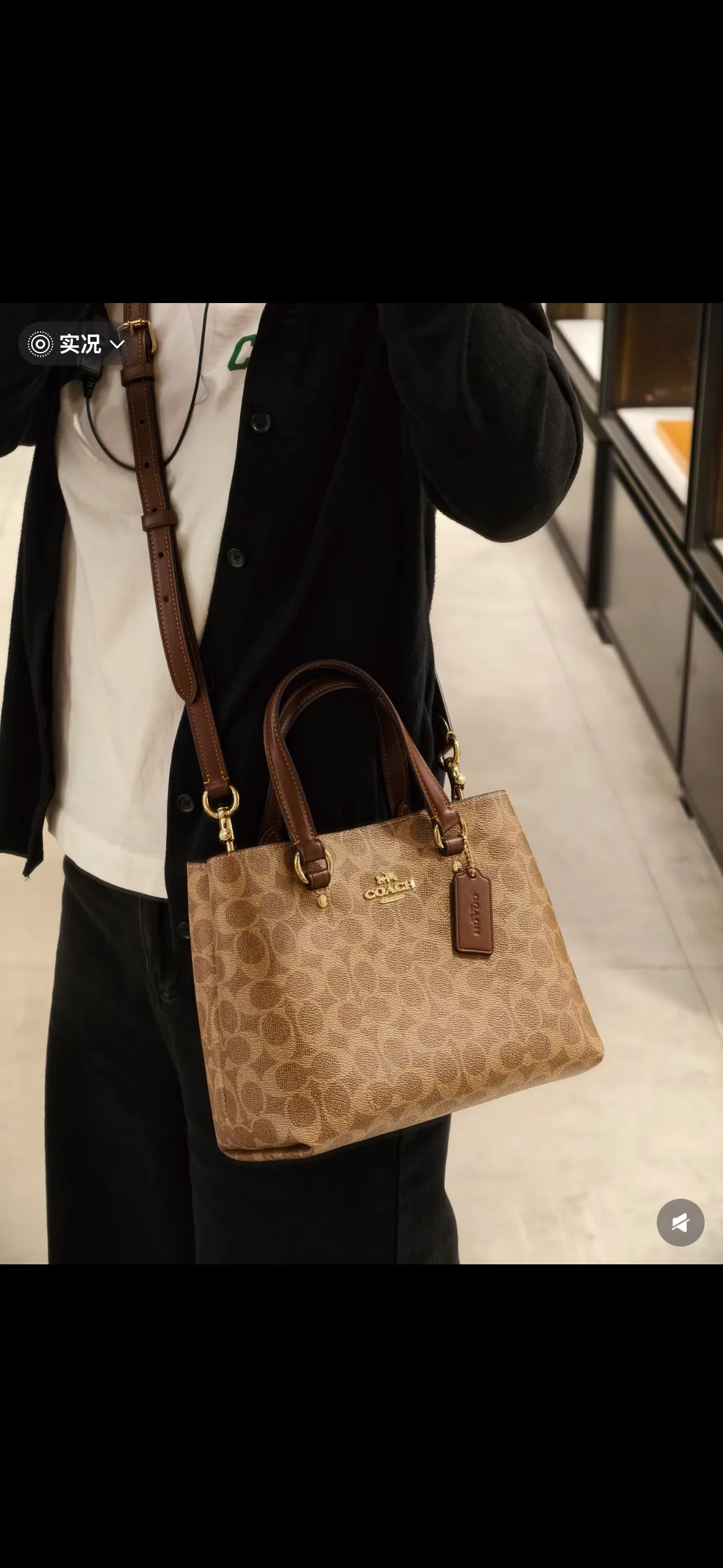 Women's Classic Handbags COACH 17961148