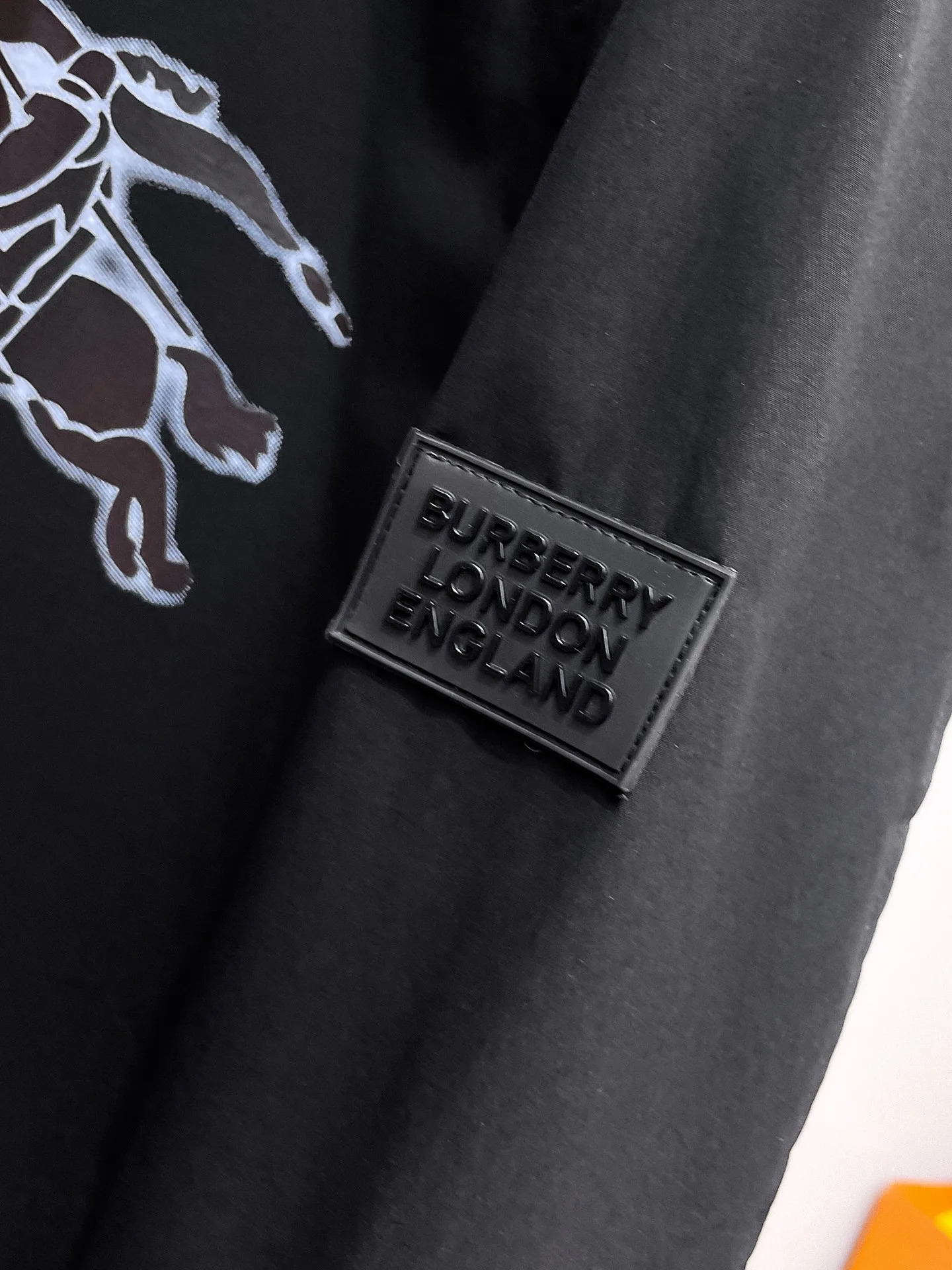 Men's Jackets And Down Jackets BURBERRY 17924247