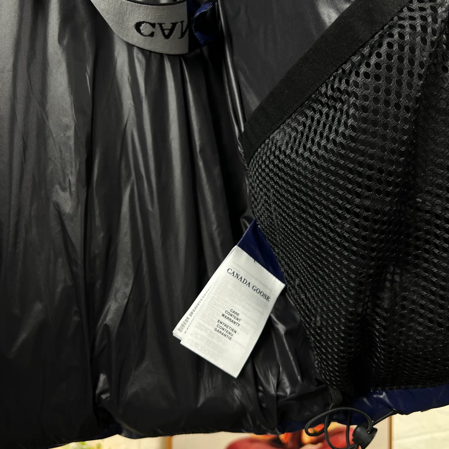 Women's Jackets And Down Jackets CANADA GOOSE 17897323