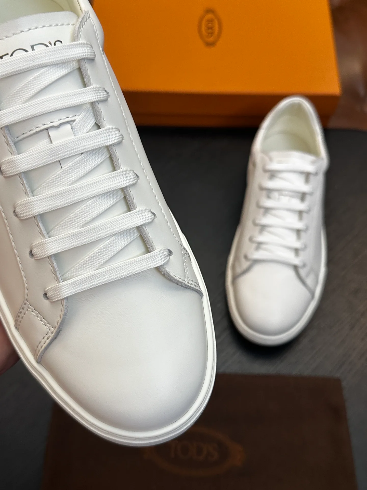 Men's Sneakers TOD'S 17733029