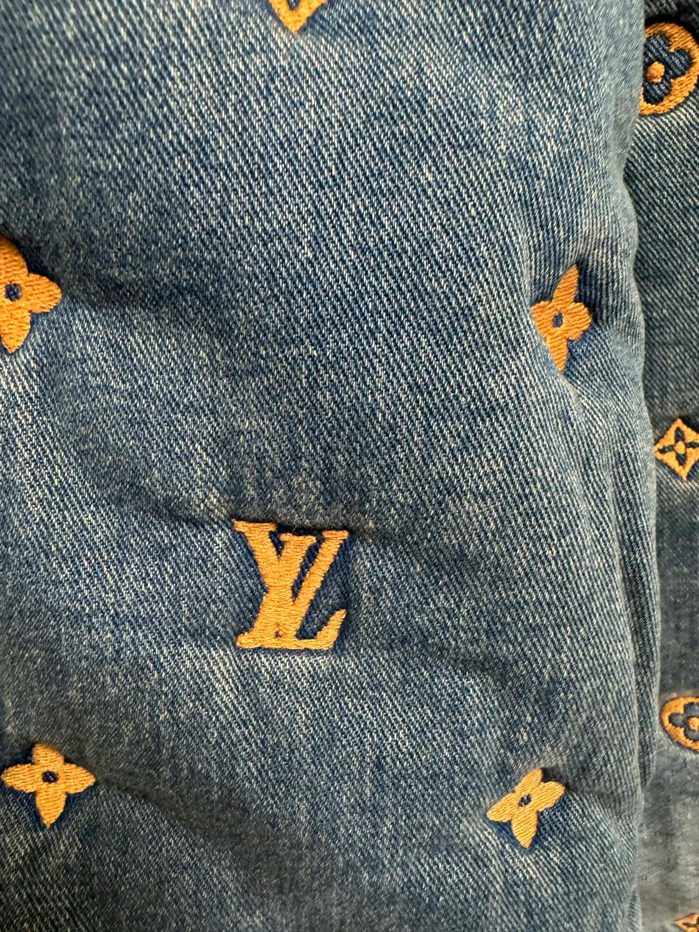 Men's Jackets And Down Jackets LOUIS VUITTON 17420958