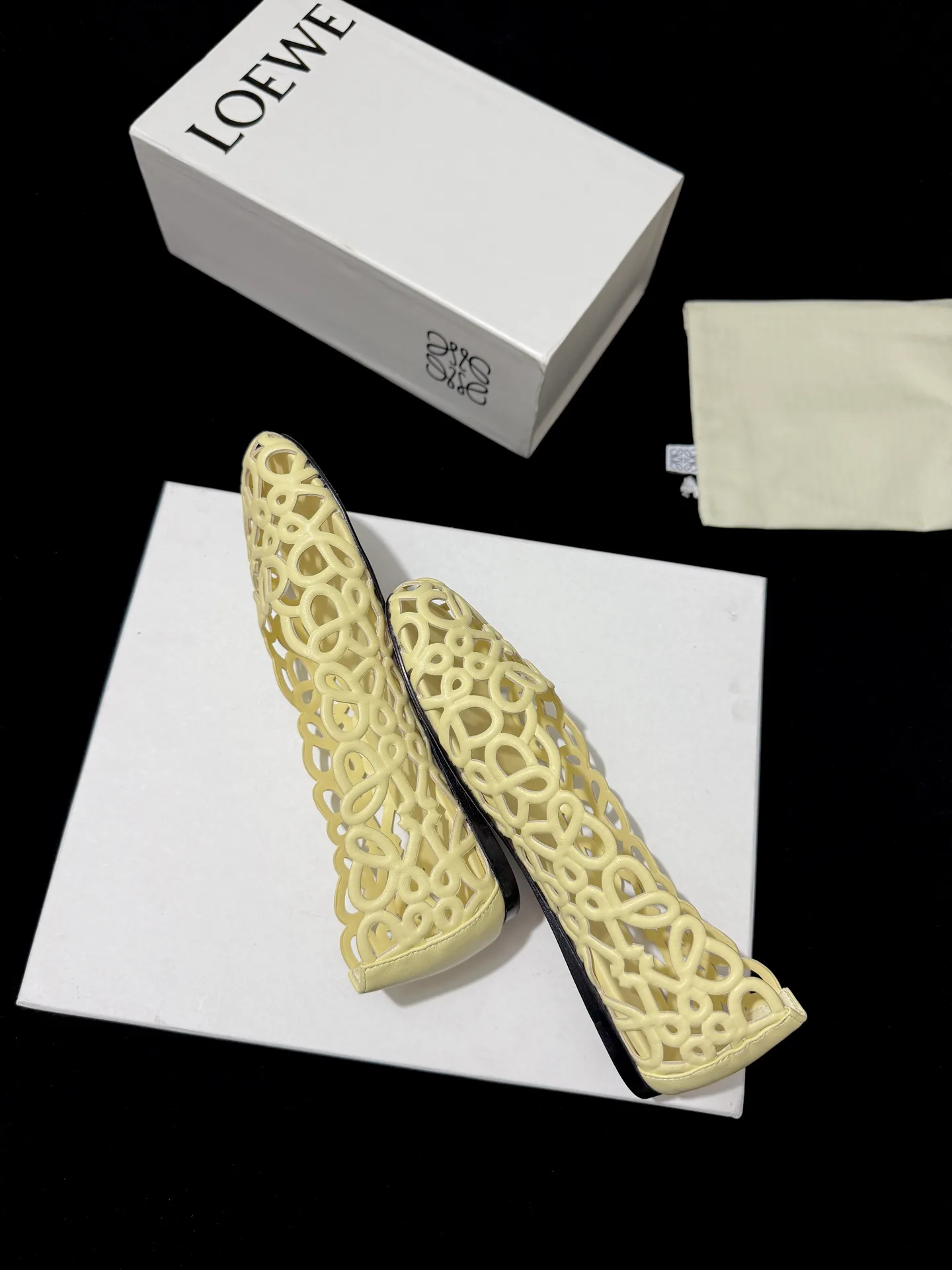 Women's Ballet Flats LOEWE 18110340