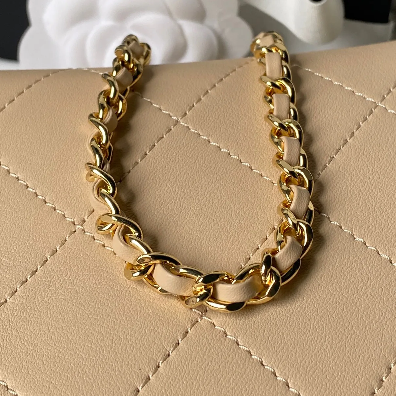 Women's Classic Handbags CHANEL 18000292