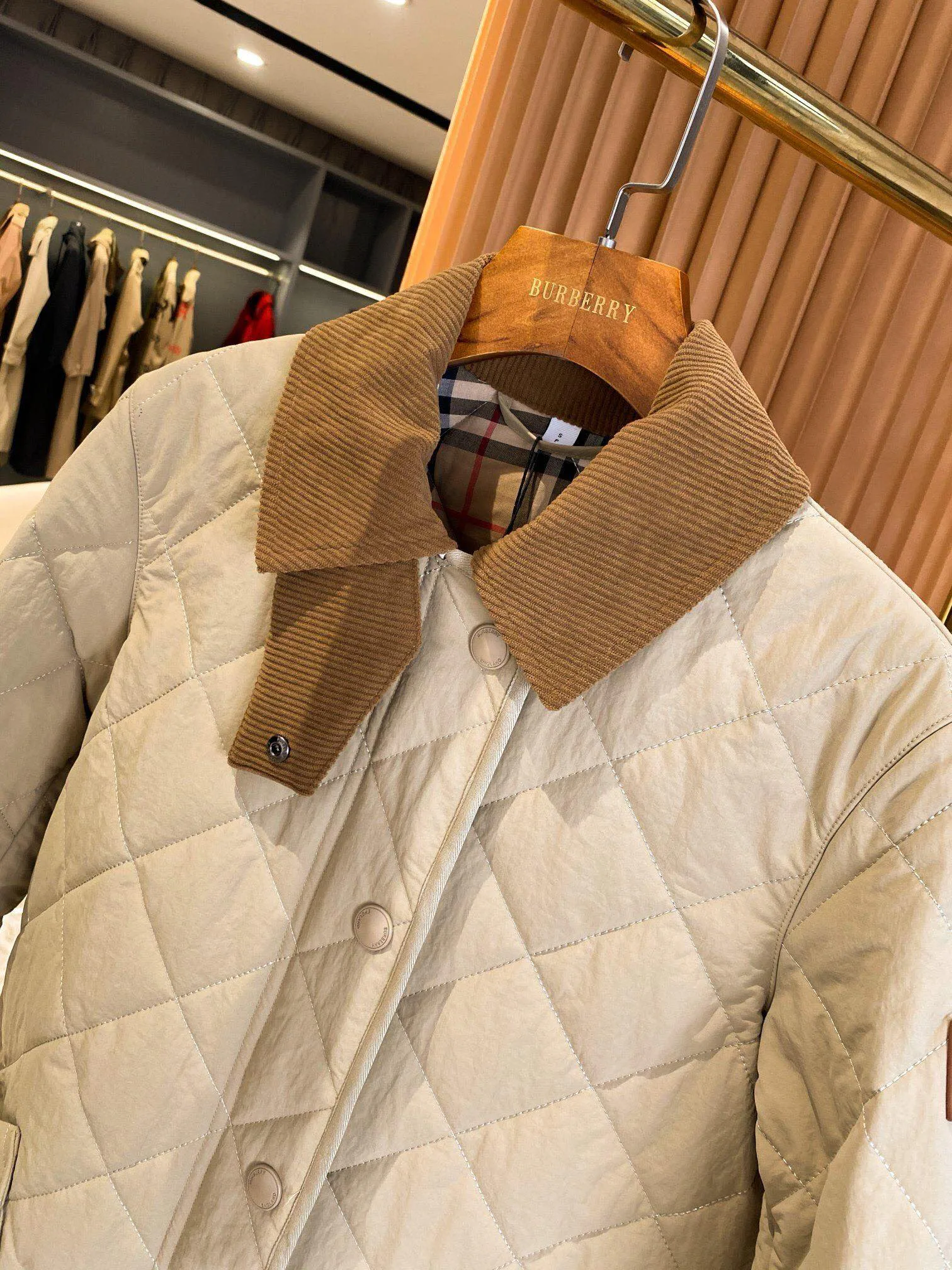 Women's Jackets And Down Jackets BURBERRY 17998768