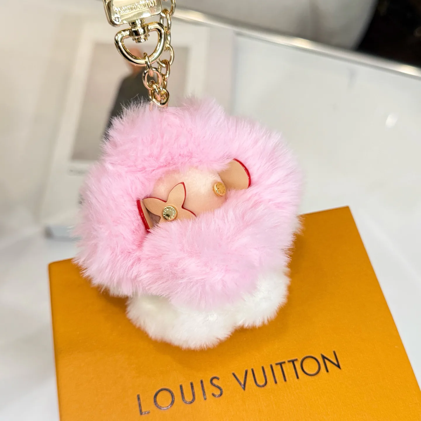 Key Cases LOUIS VUITTON 18225905
