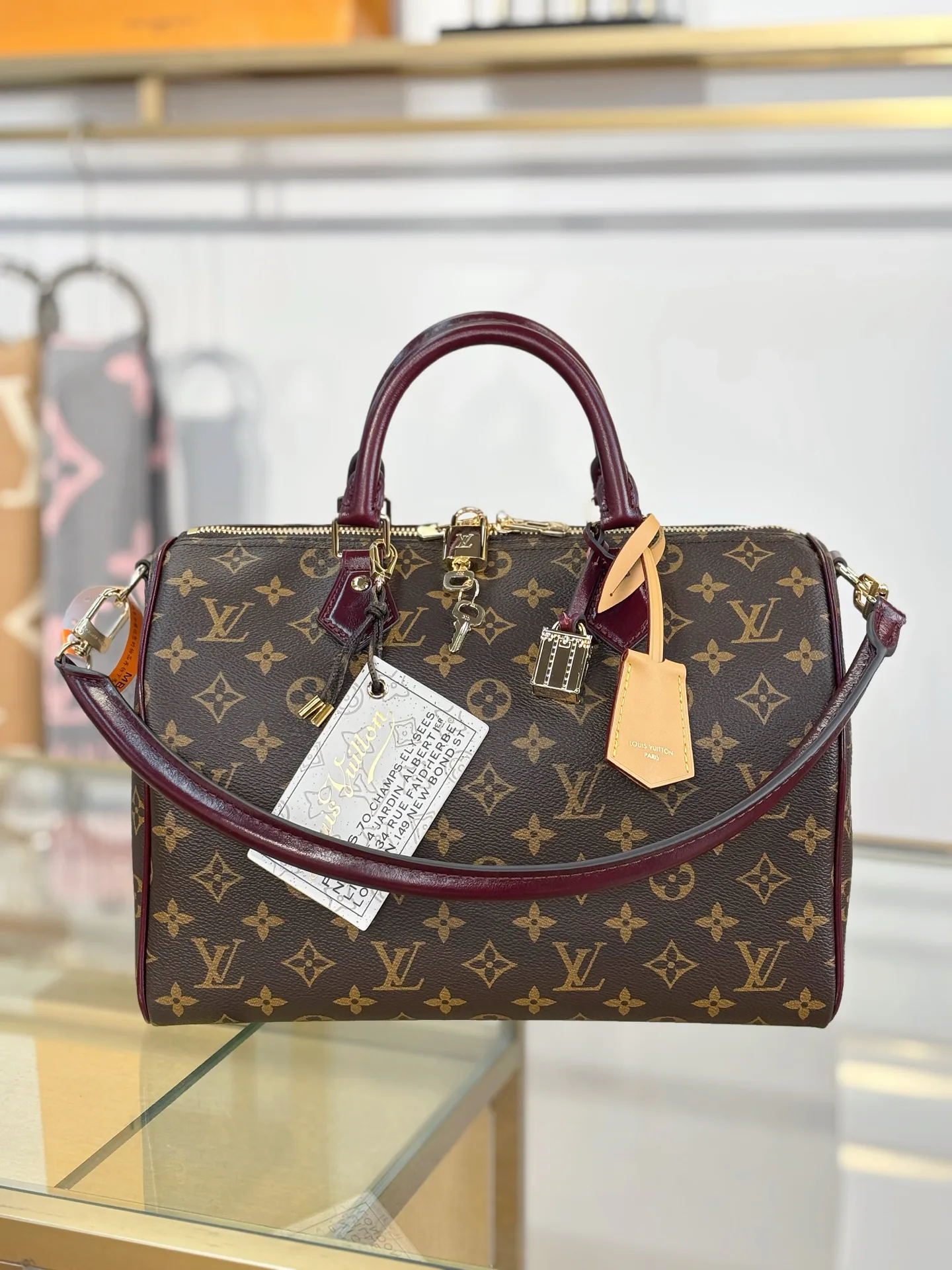 Women's Classic Handbags LOUIS VUITTON 17979980