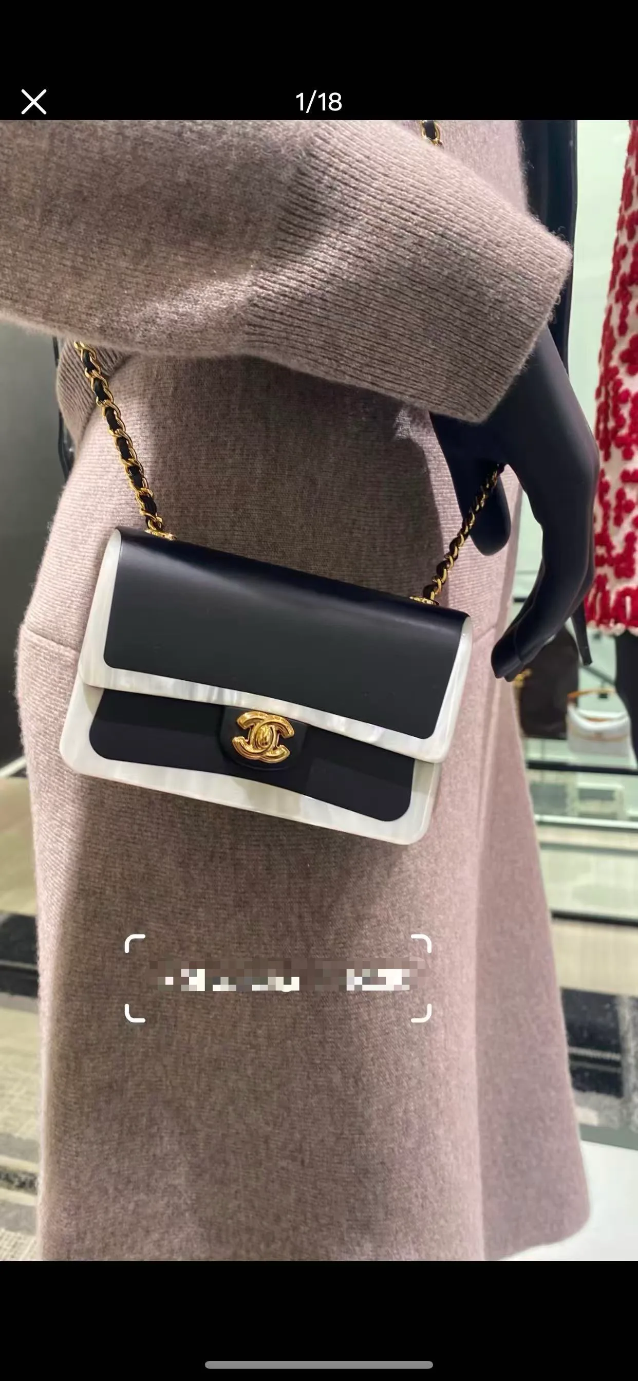Women's Classic Handbags CHANEL 18058572