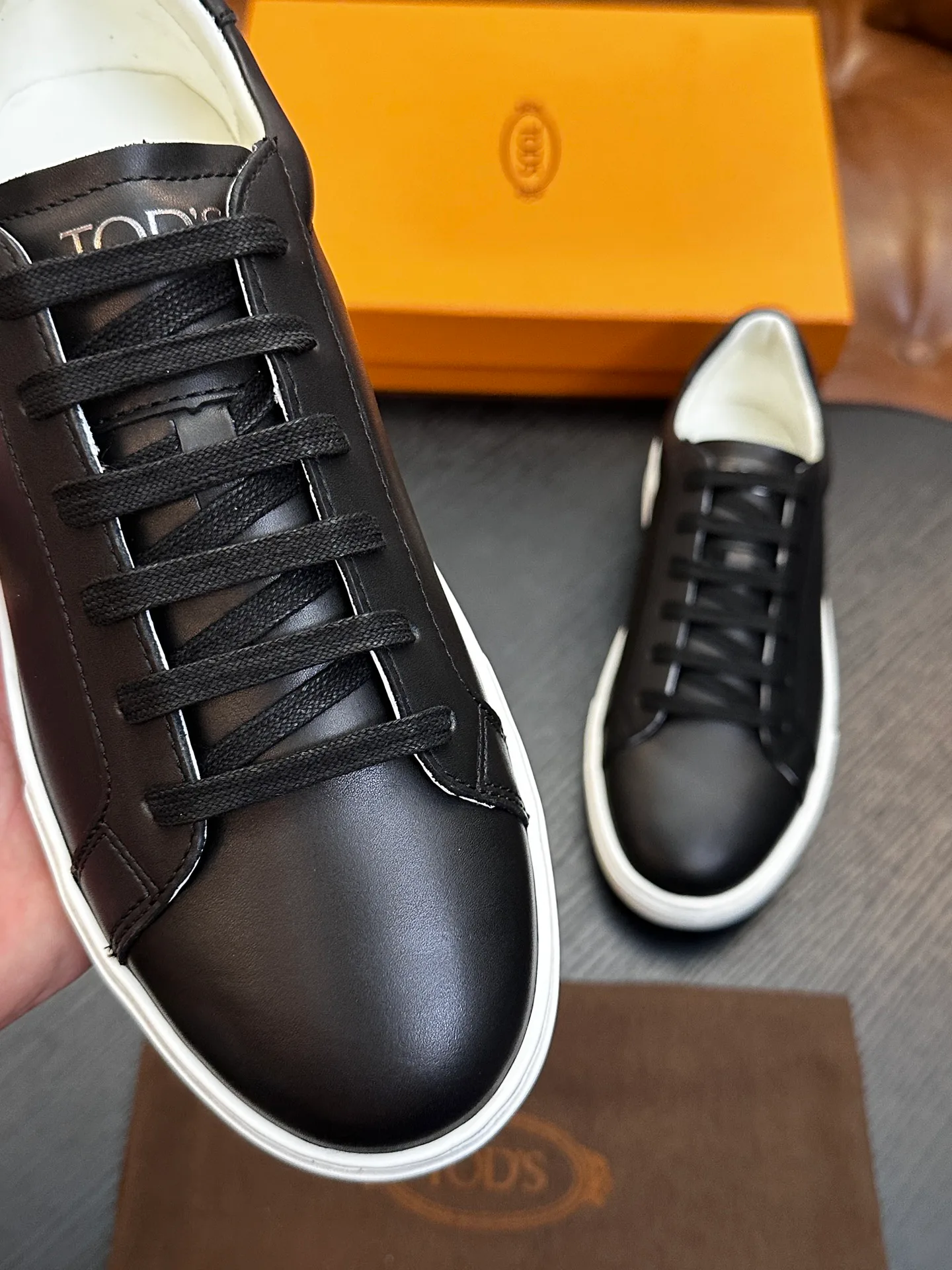 Men's Sneakers TOD'S 17733025