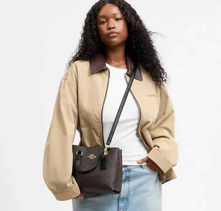 Women's Classic Handbags COACH 17960953