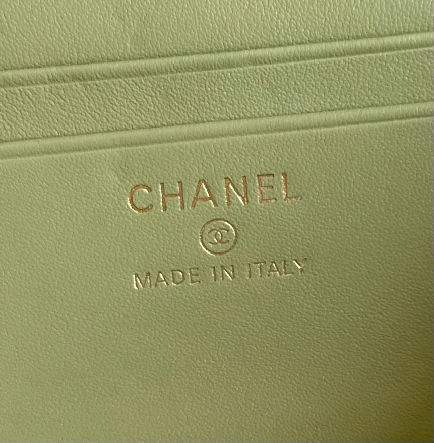 Women's Classic Handbags CHANEL 18338102