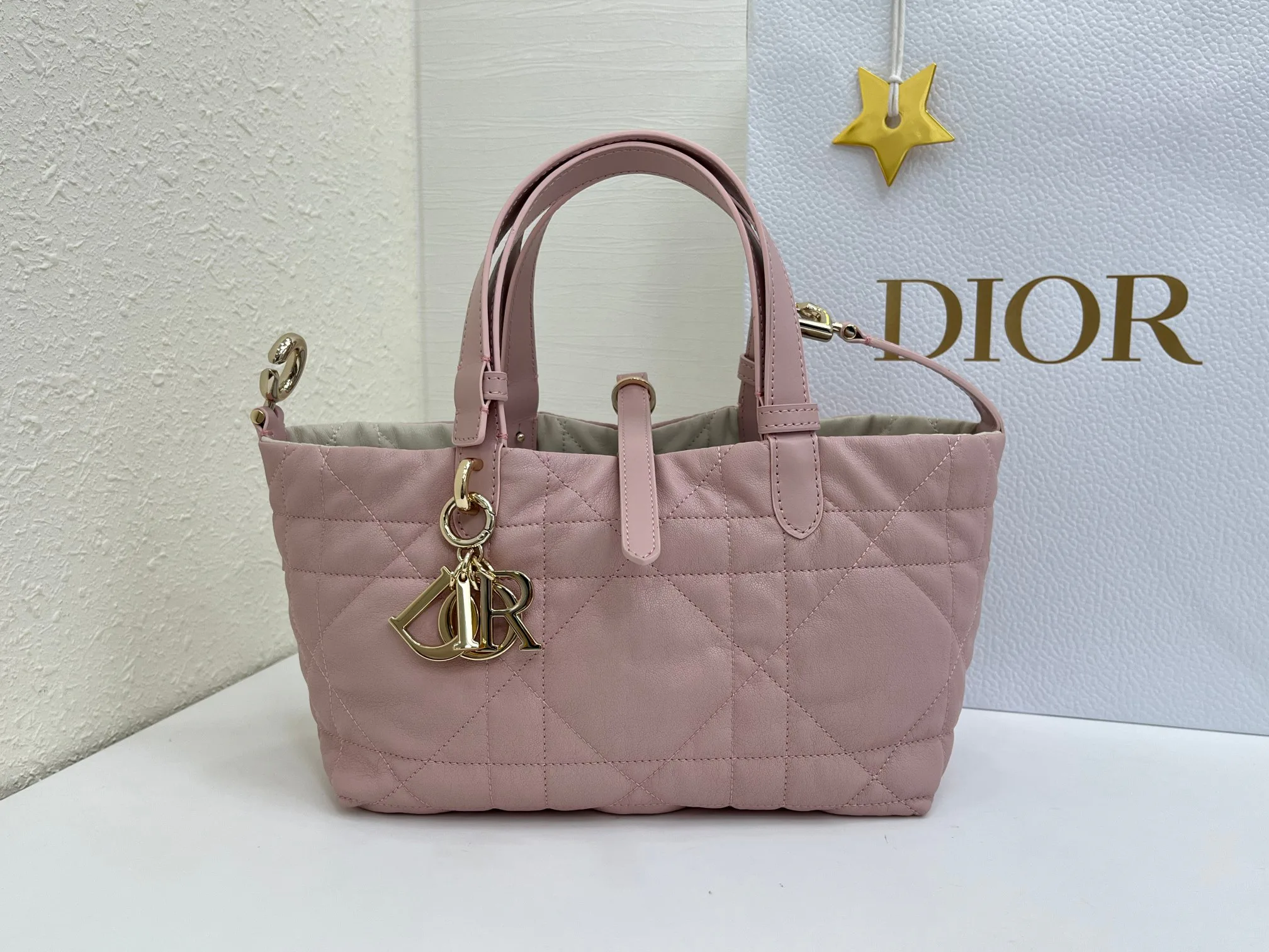 Women's Classic Handbags CHRISTIAN DIOR 17407079