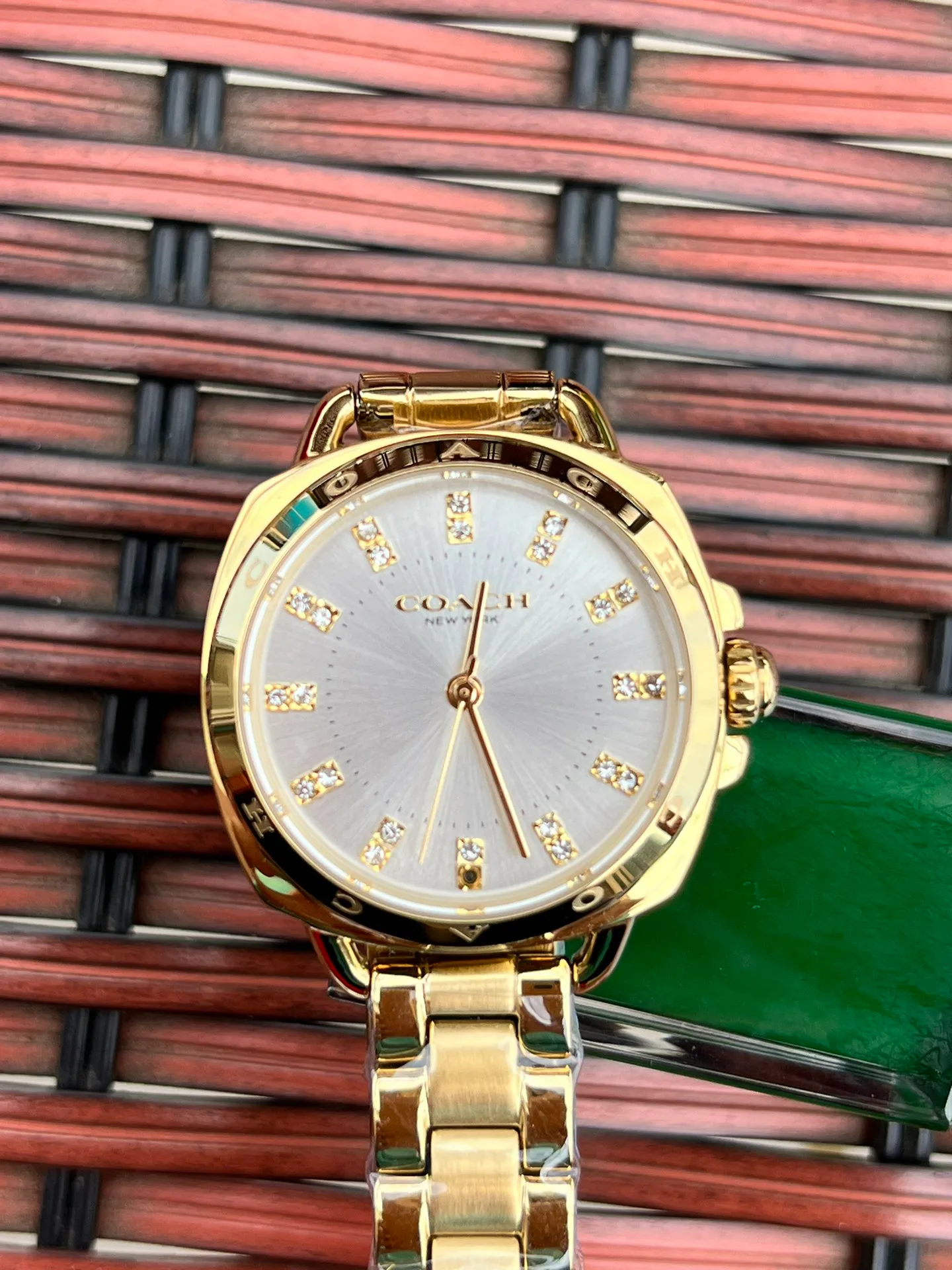 Women's Watches COACH 17873076