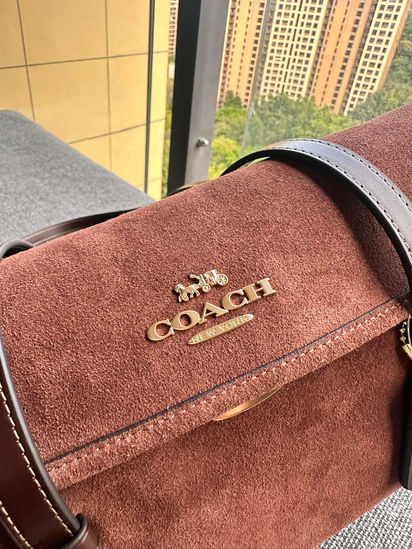 Women's Classic Handbags COACH 17961078