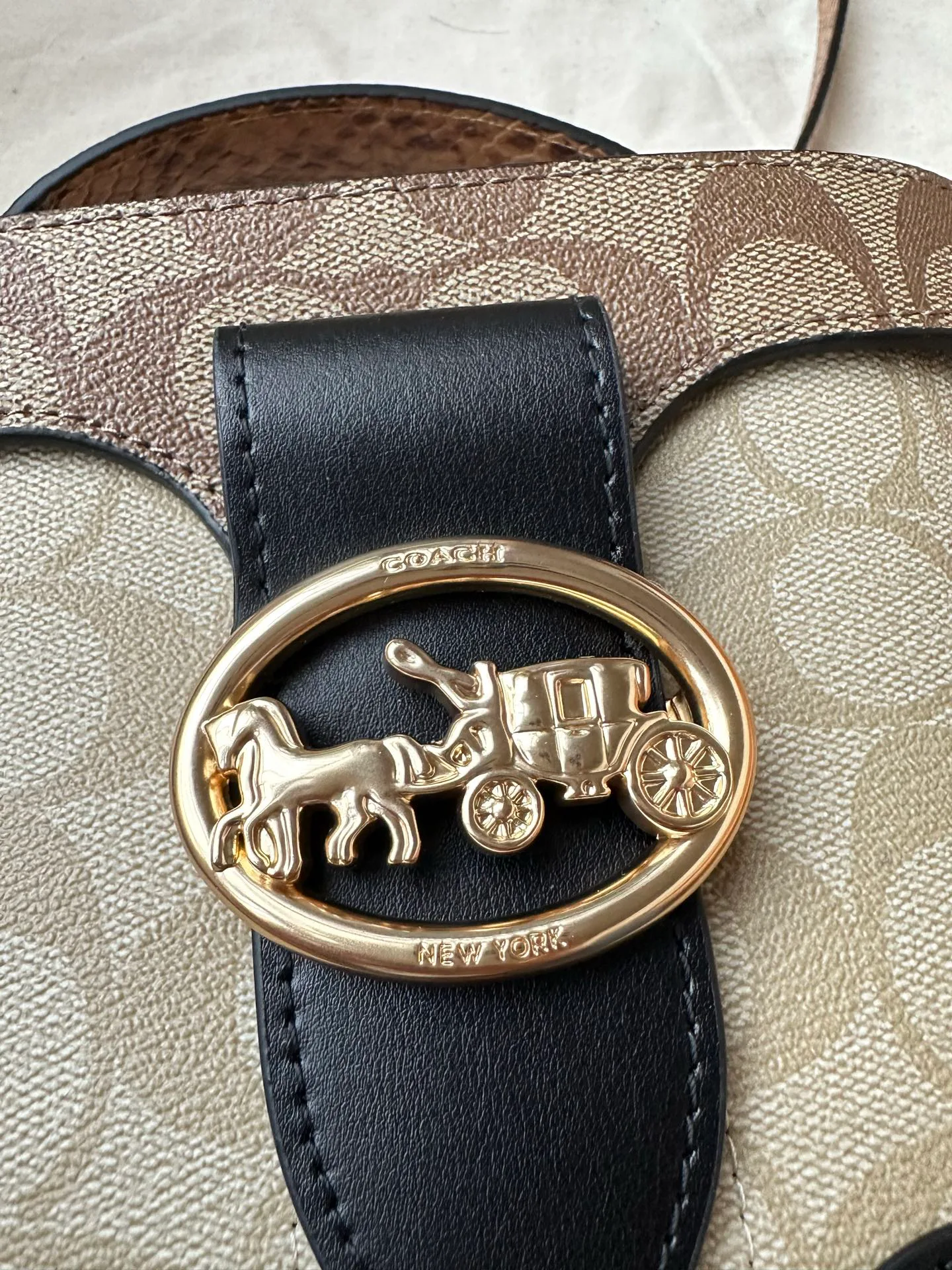 Women's Classic Handbags COACH 17961030