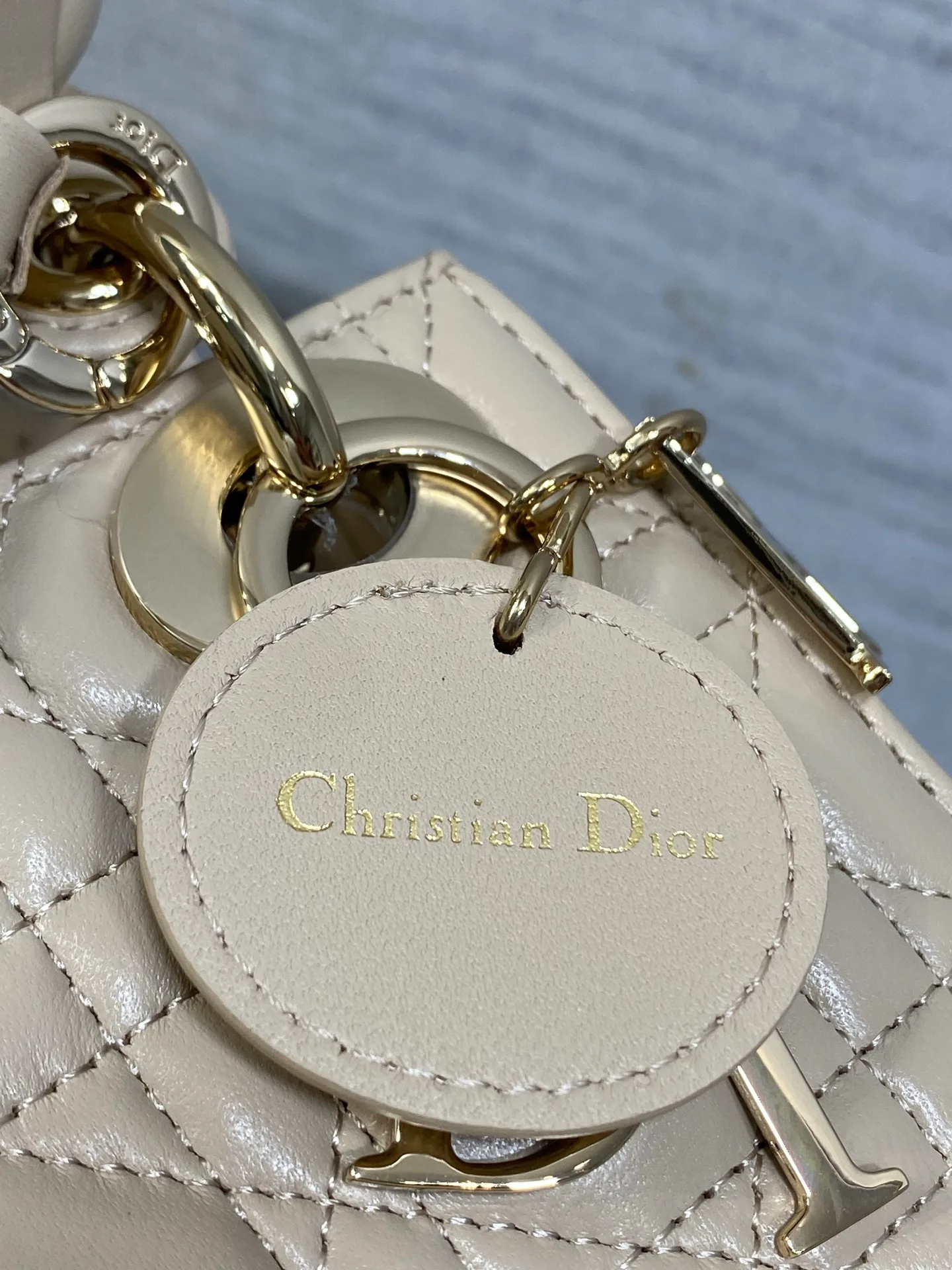 Women's Classic Handbags CHRISTIAN DIOR 17601501