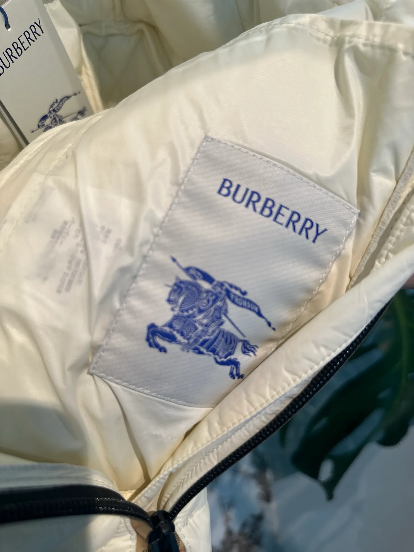 Women's Jackets And Down Jackets BURBERRY 18334028