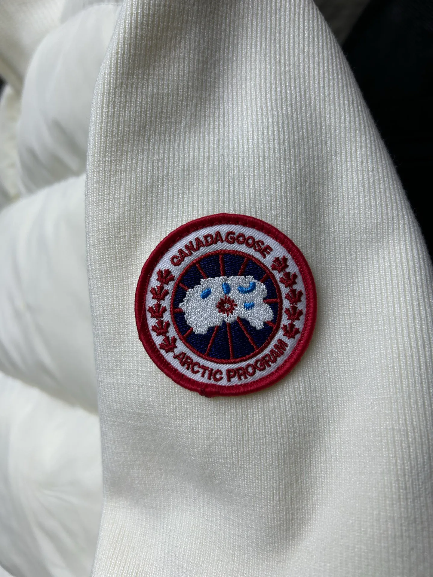 Куртки И Пуховики Женские Canada Goose 18562689