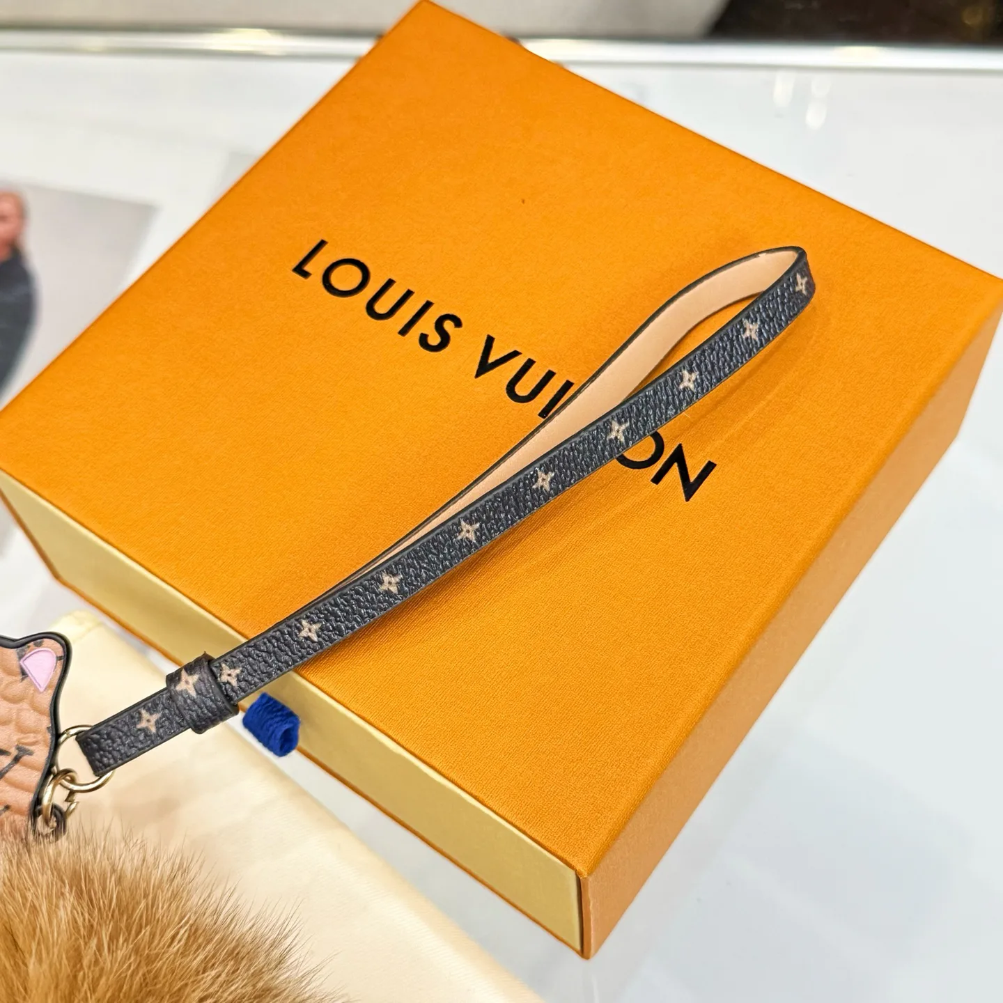 Key Cases LOUIS VUITTON 18013795