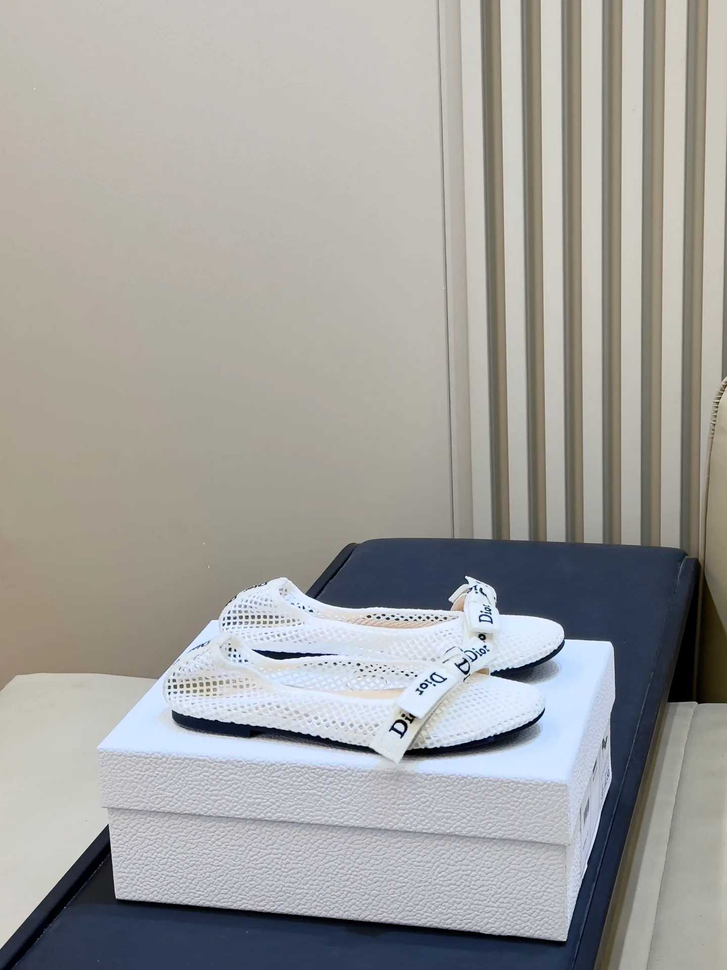 Women's Ballet Flats CHRISTIAN DIOR 18073314
