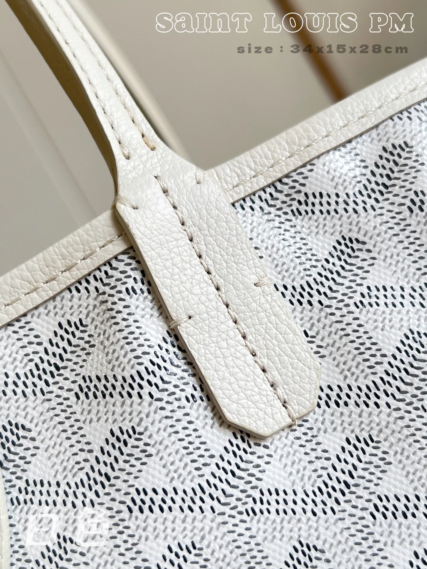 Women's Classic Handbags GOYARD 18278211