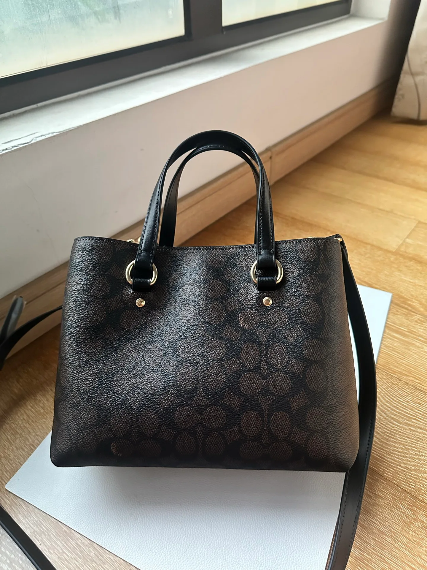 Women's Classic Handbags COACH 17961149