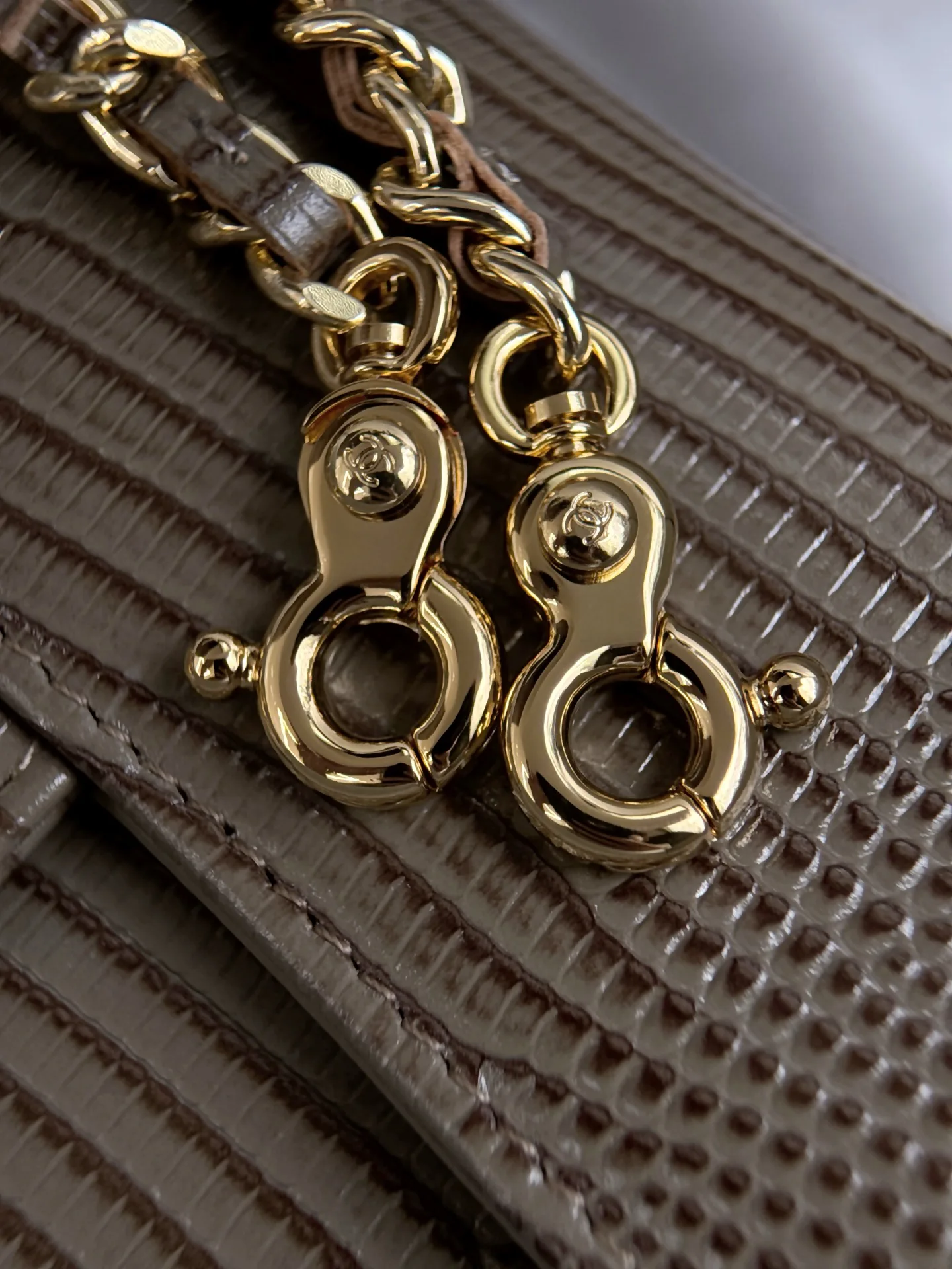 Women's Classic Handbags CHANEL 18065618