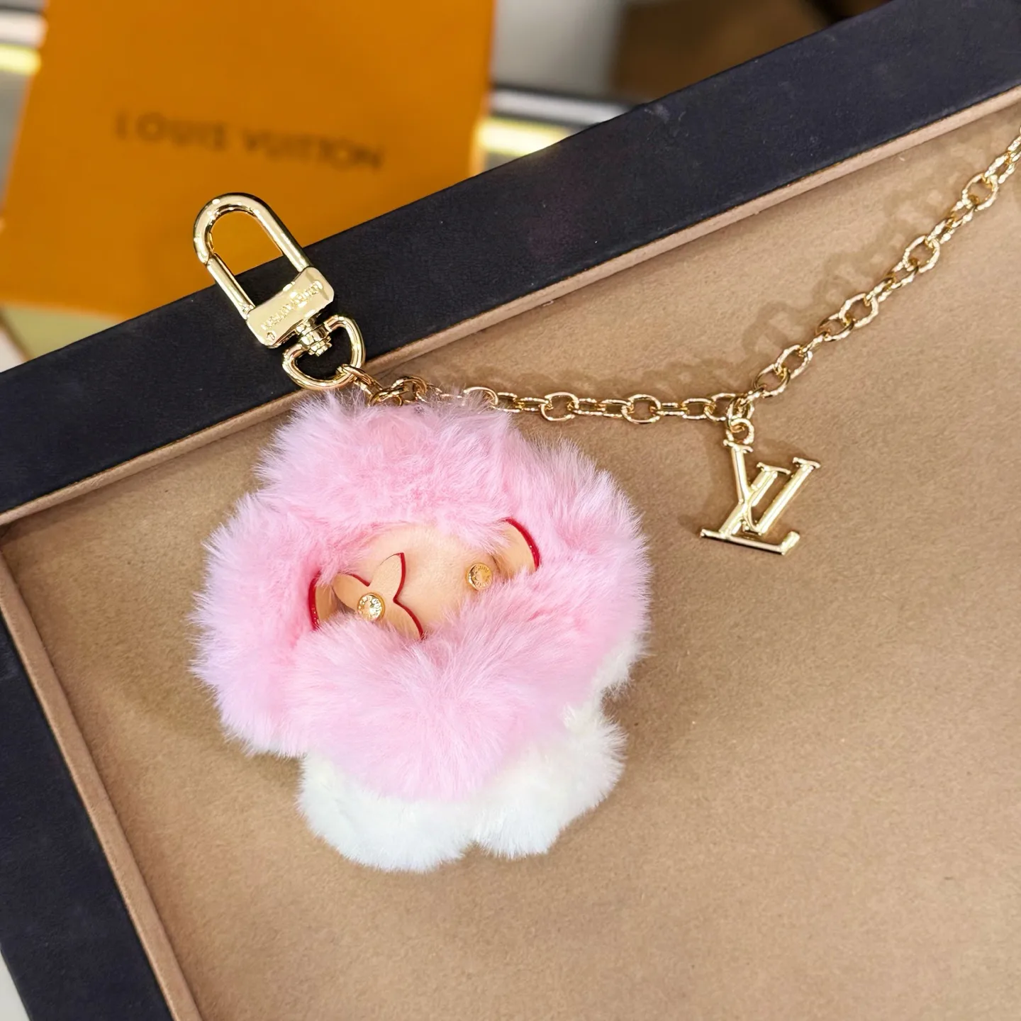Key Cases LOUIS VUITTON 18225905