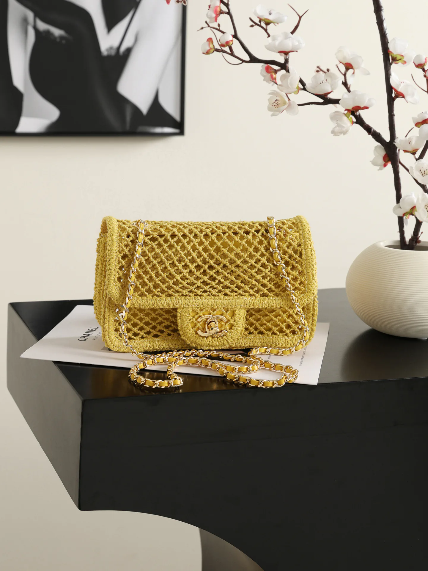 Women's Classic Handbags CHANEL 18000319
