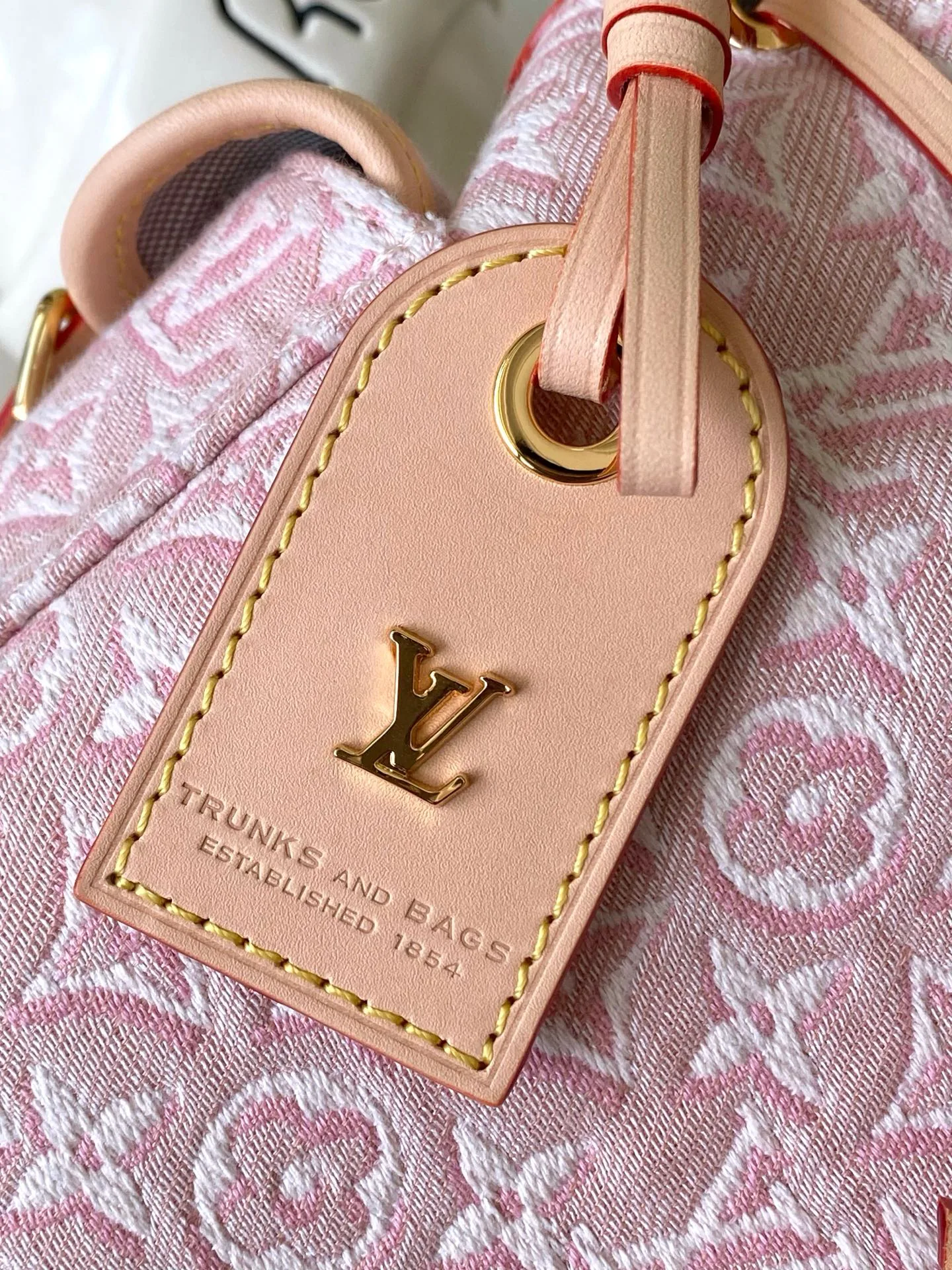 Women's Classic Handbags LOUIS VUITTON 18170465