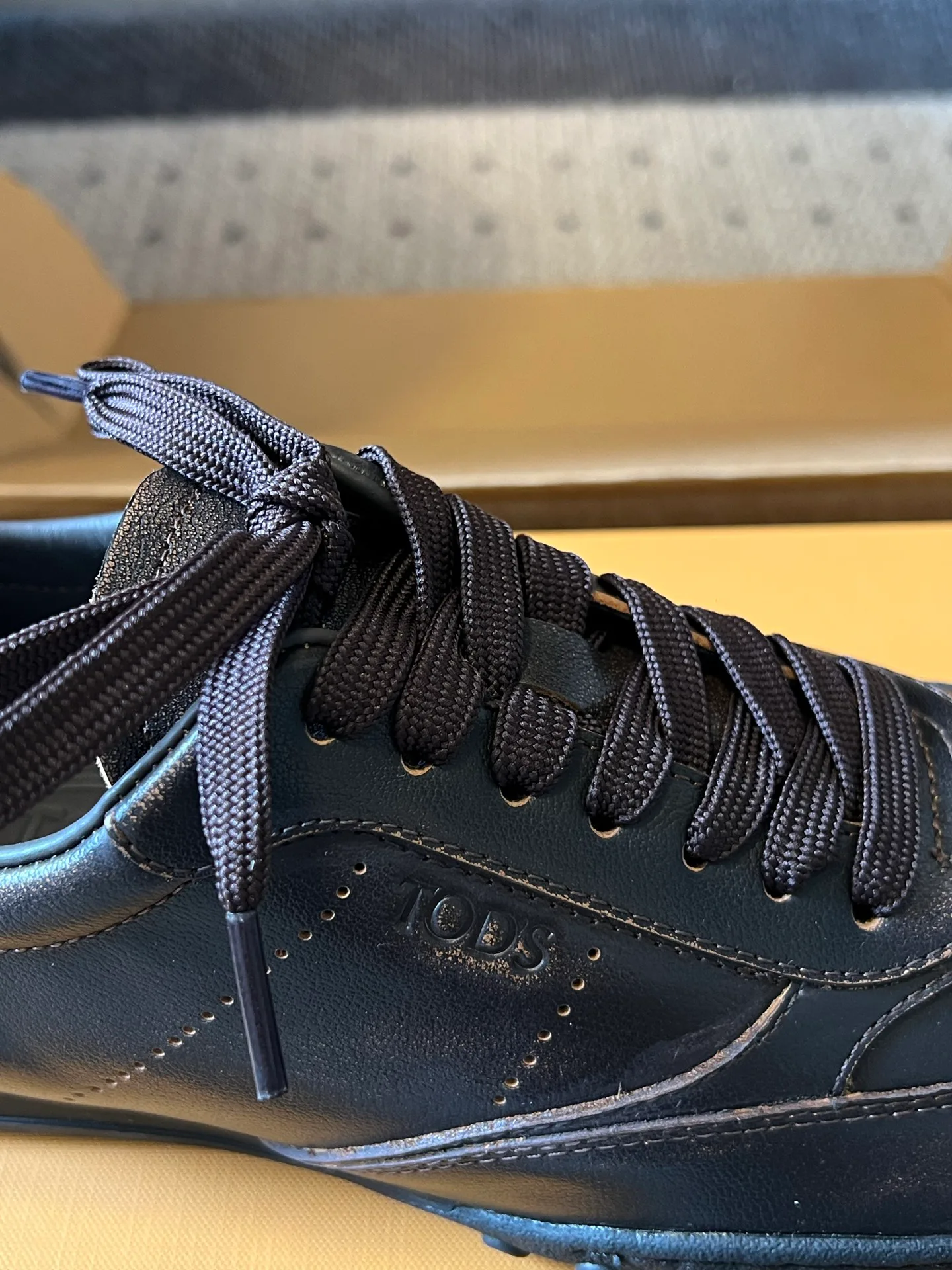 Women's Sneakers TOD'S 18378075